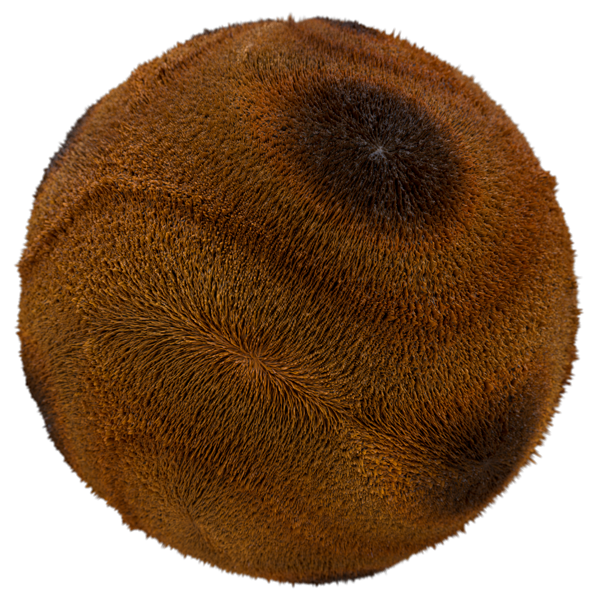 Fur