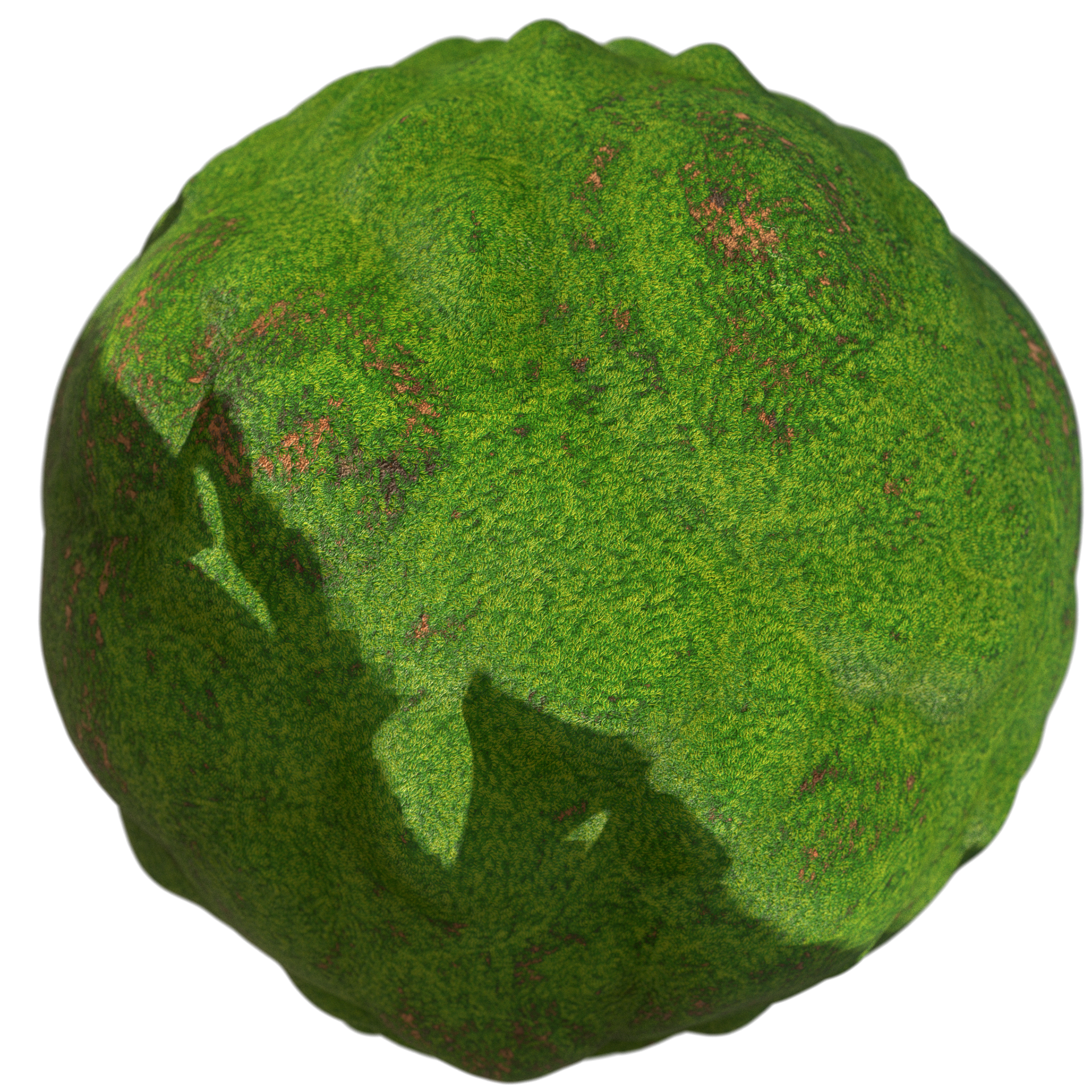 Grass field