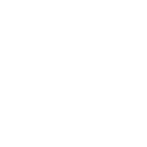 Rachel Rae Photography