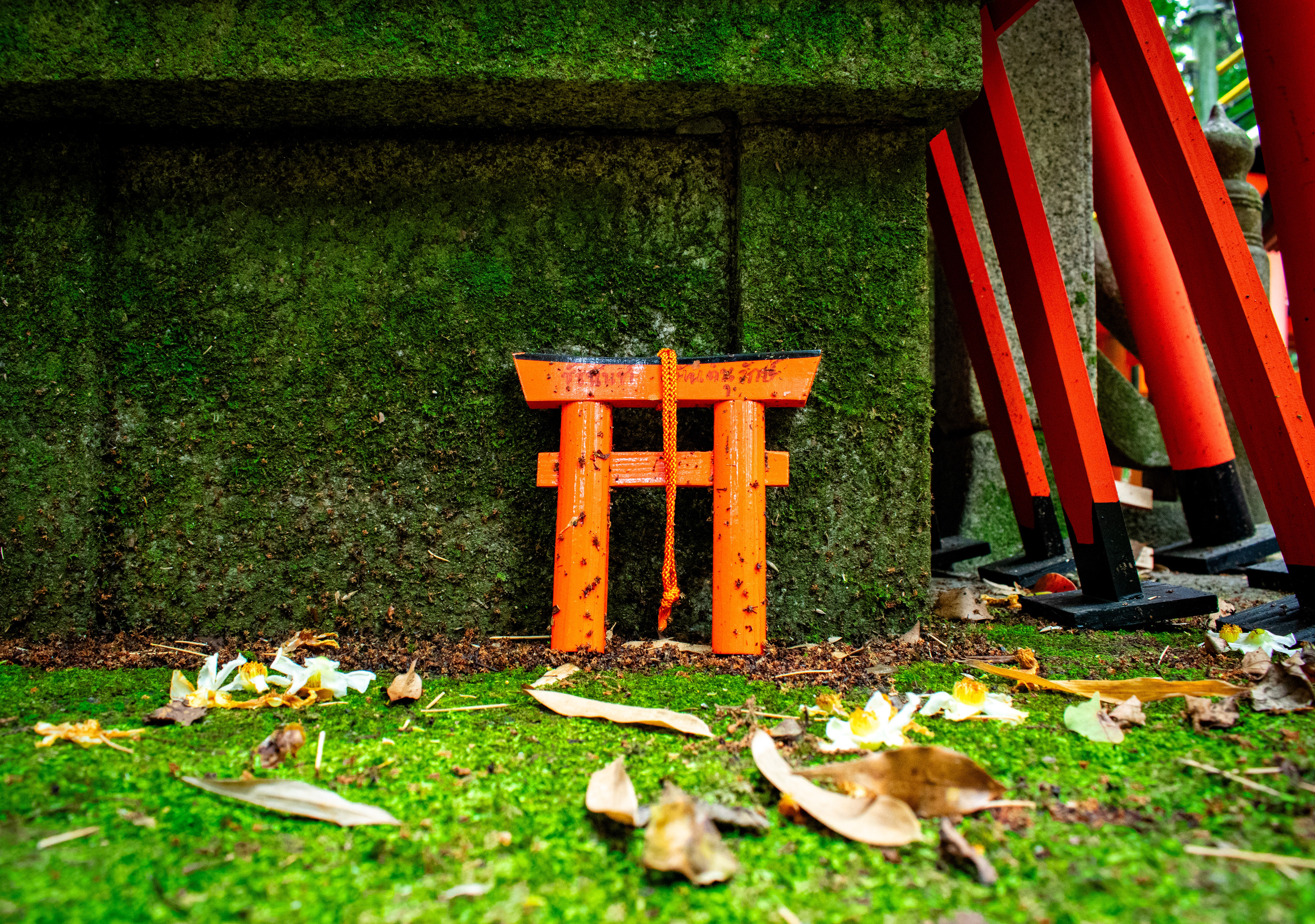 Kyoto