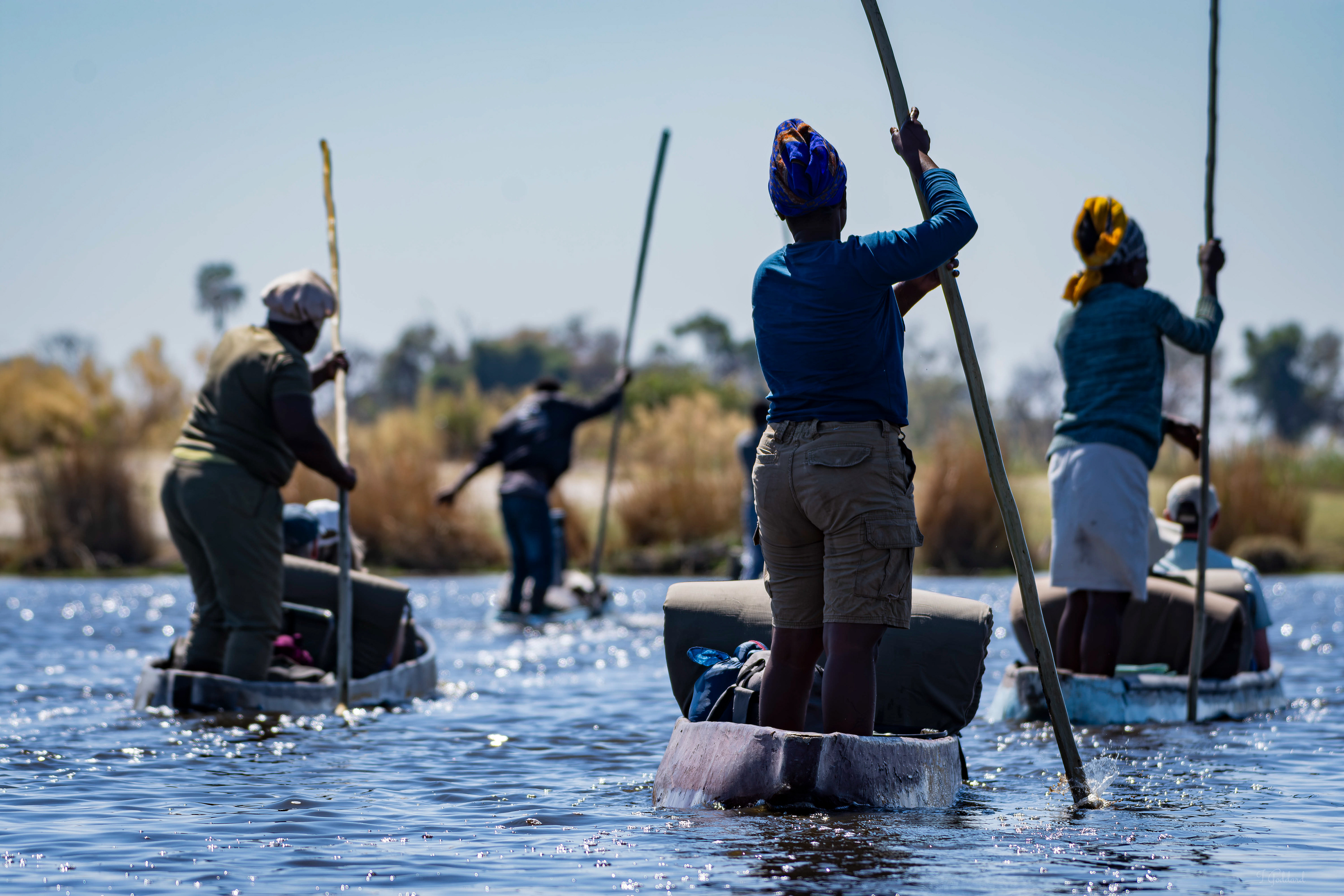 Mokoro Polers, Okavango Delta, Botswana
