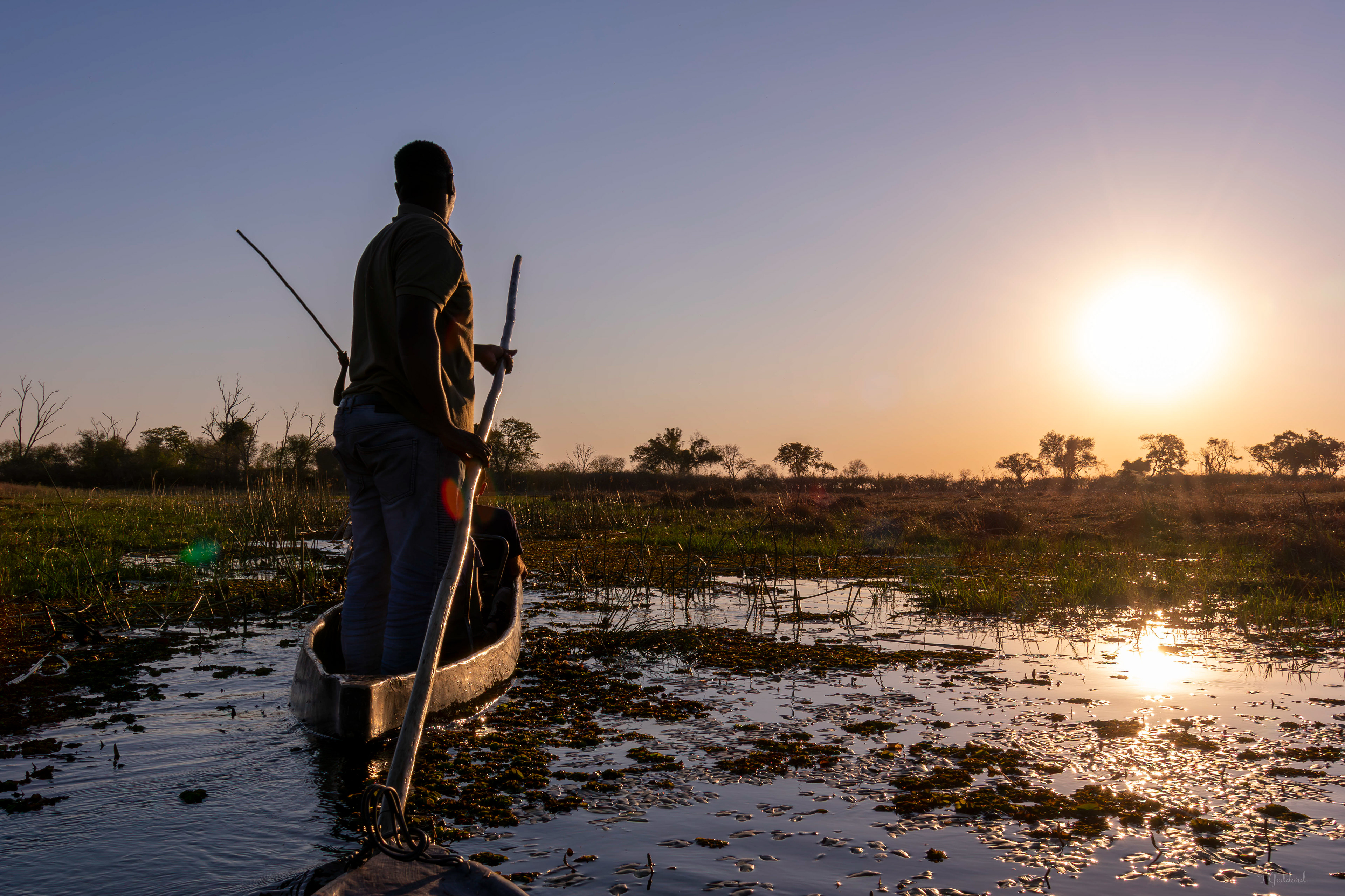Mokoro Polers - Okavango Delta