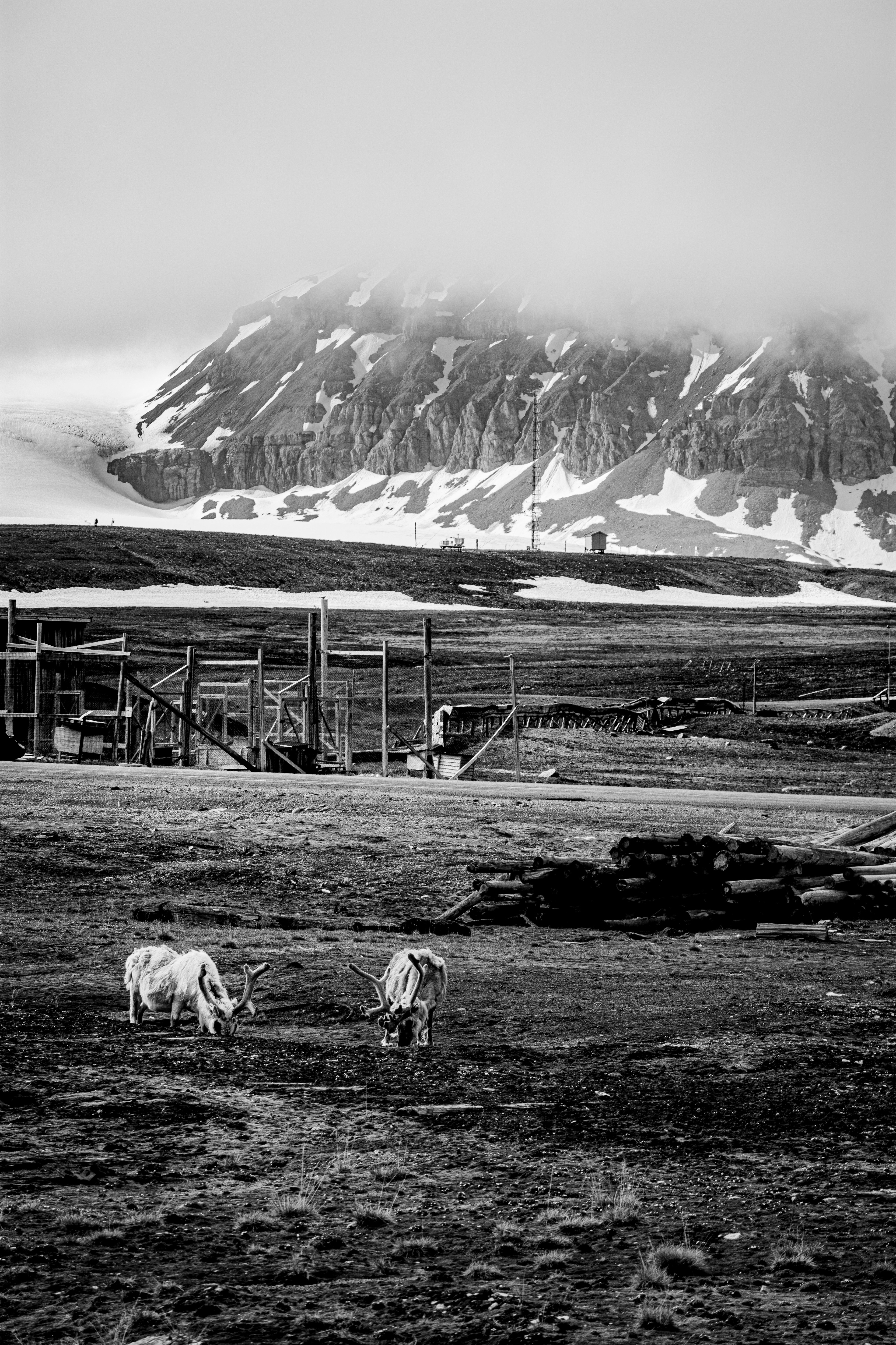 Ny-Ålesund