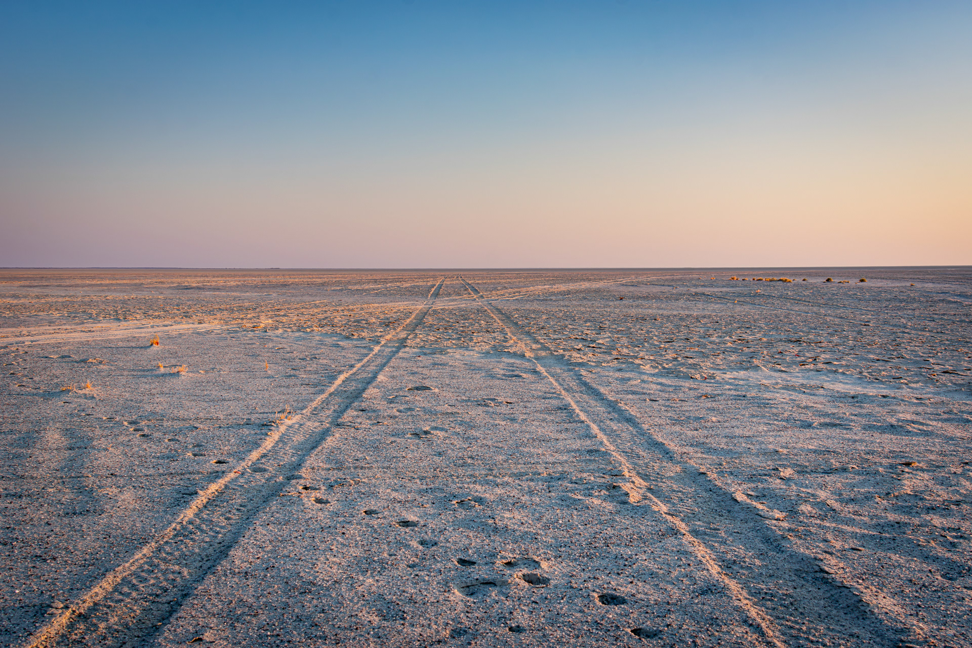 Makgadikgadi Pan