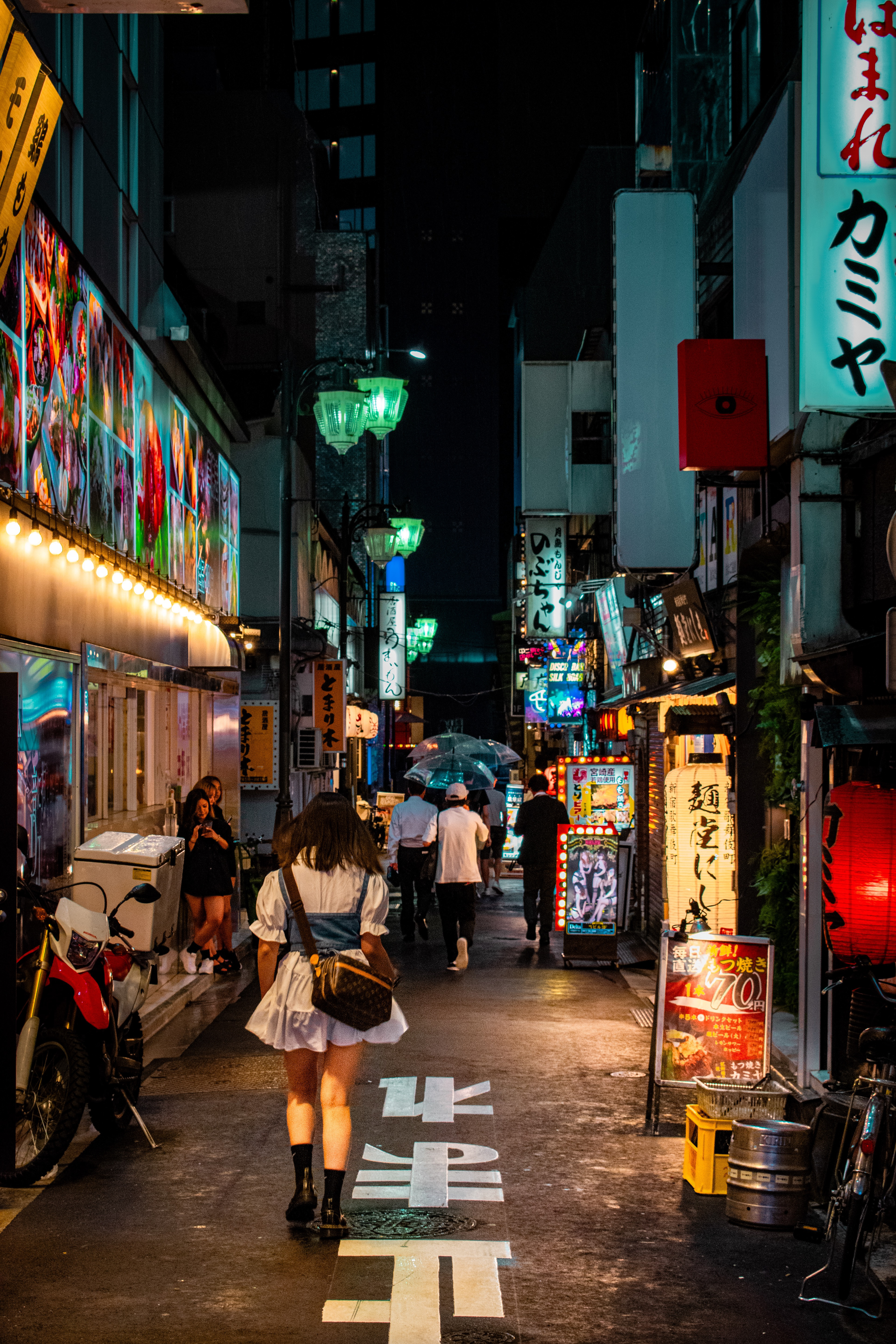 Neon Streets, Tokyo, Japan