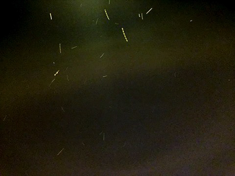 Lights