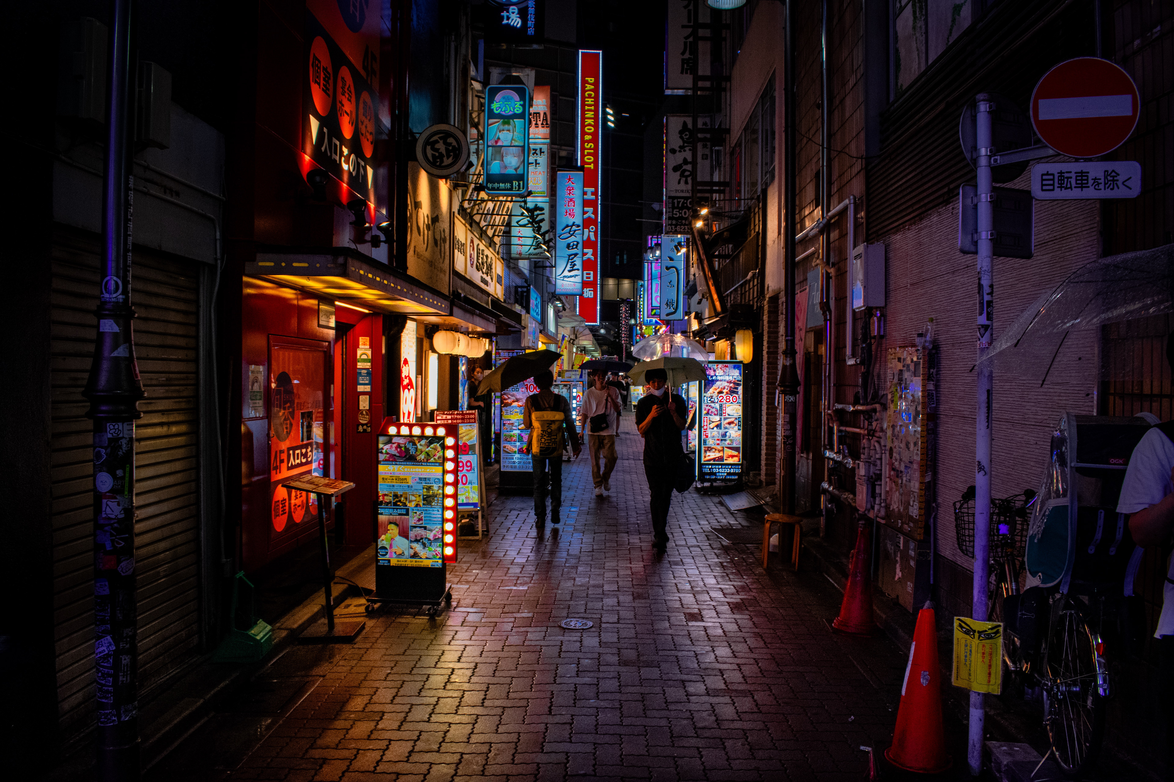 Neon Streets, Tokyo, Japan