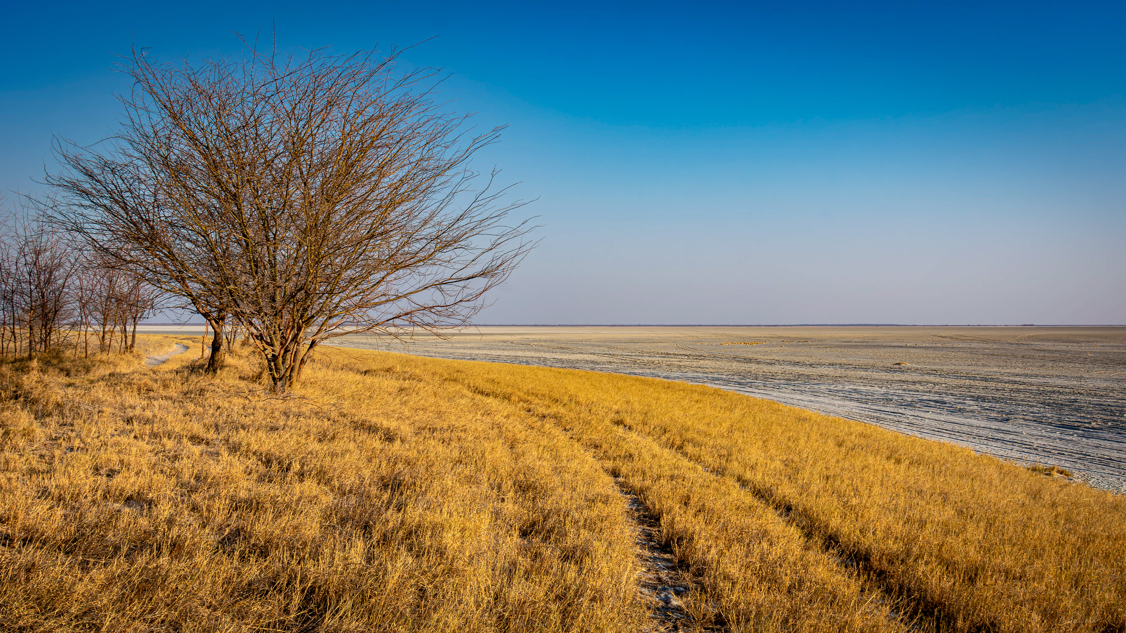 Makgadikgadi Pans, Botswana