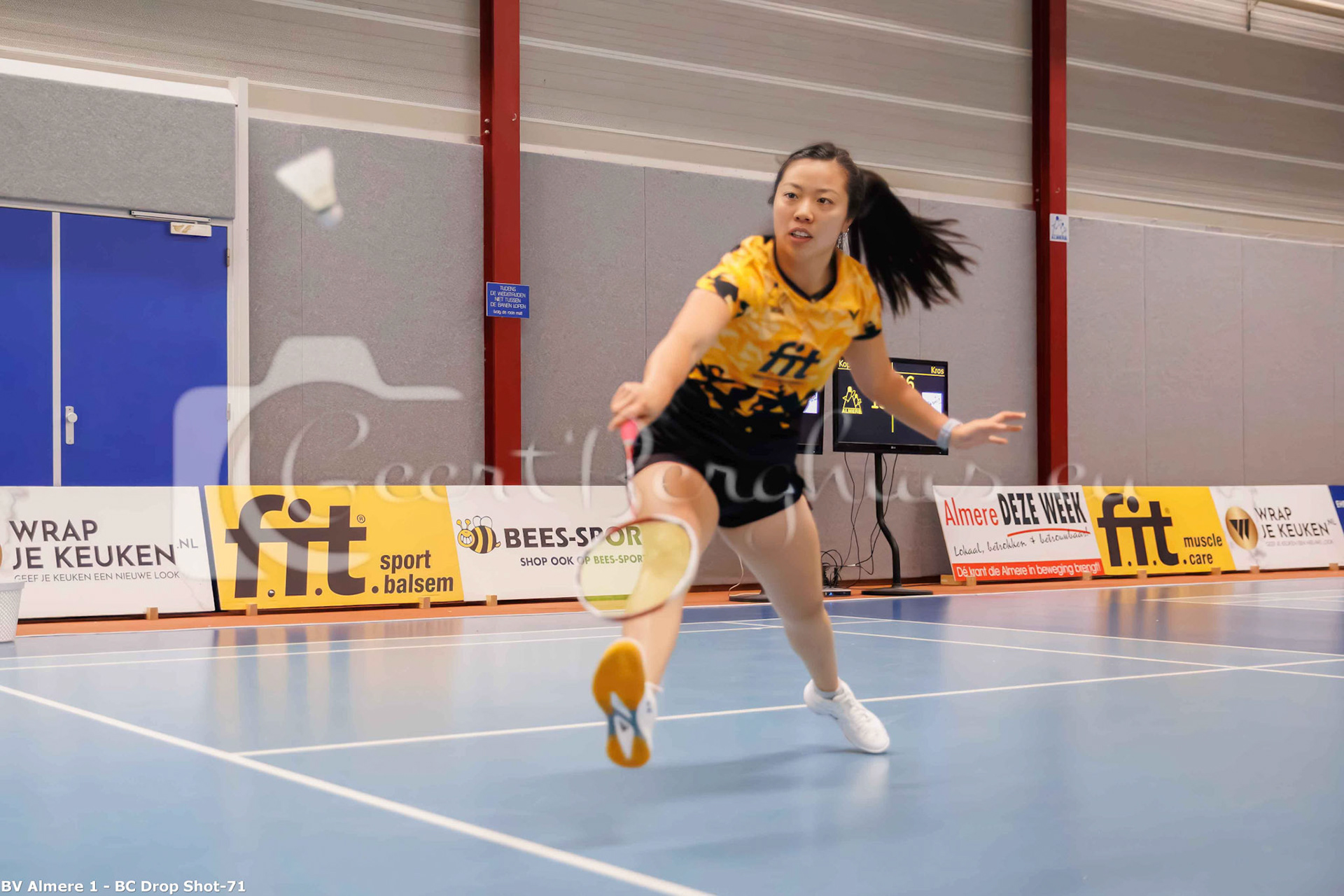 Alida Chen