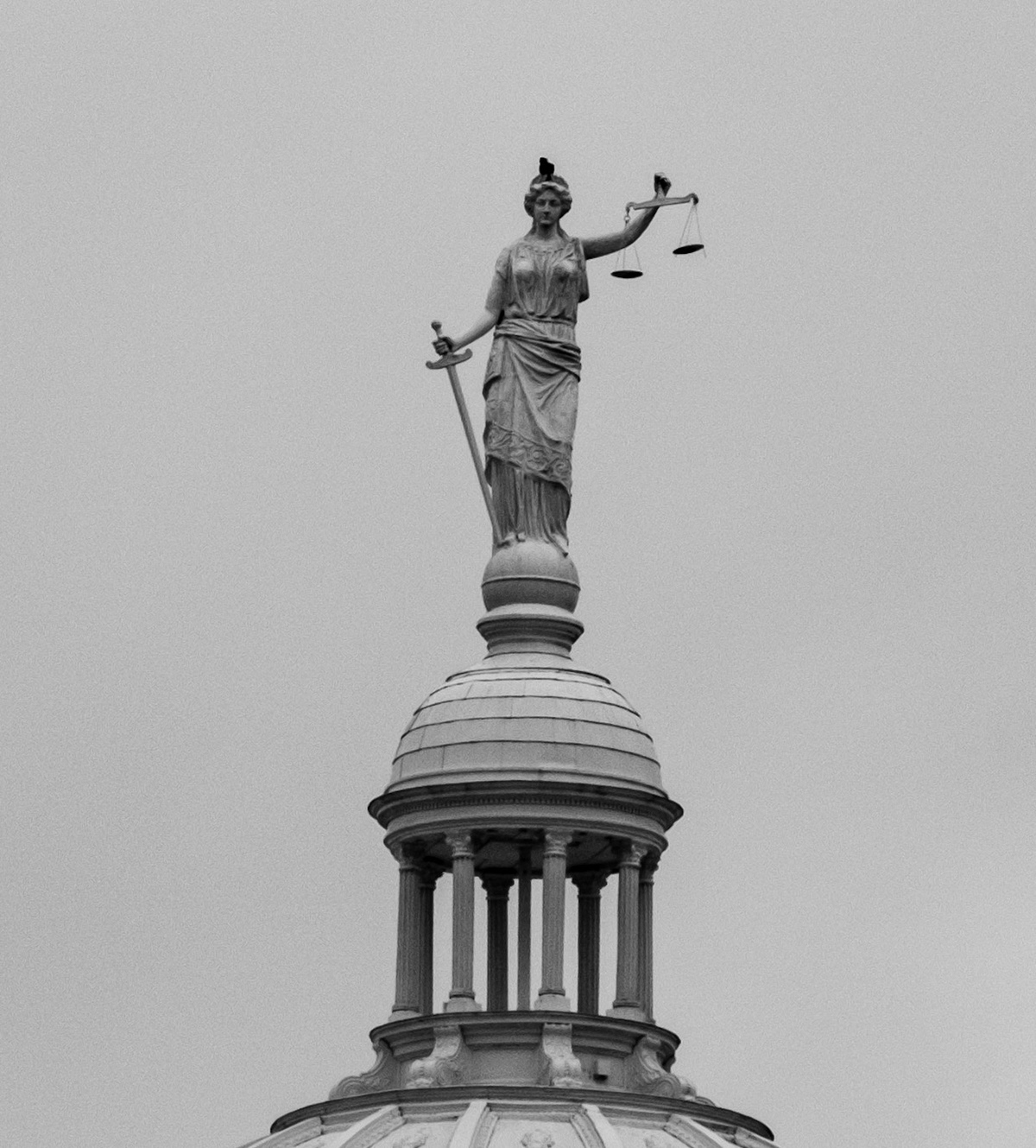 Fujifilm X-H2 | 85 MM | 1/280 sec | f / 10 | ISO 125