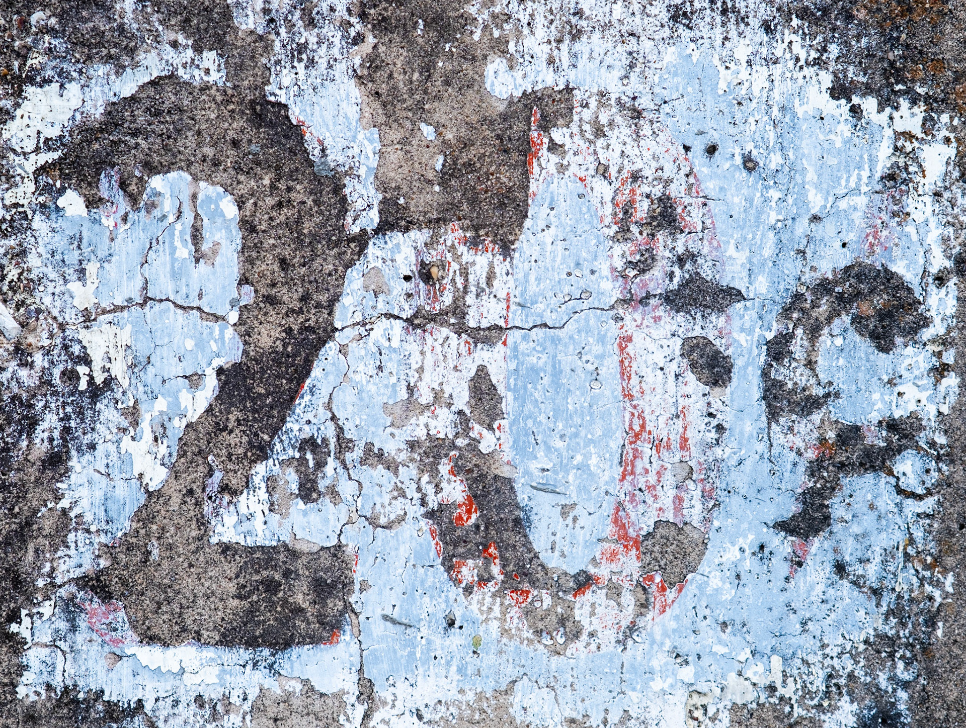 85 MM | 1/950 sec | f/3.6 | ISO 160