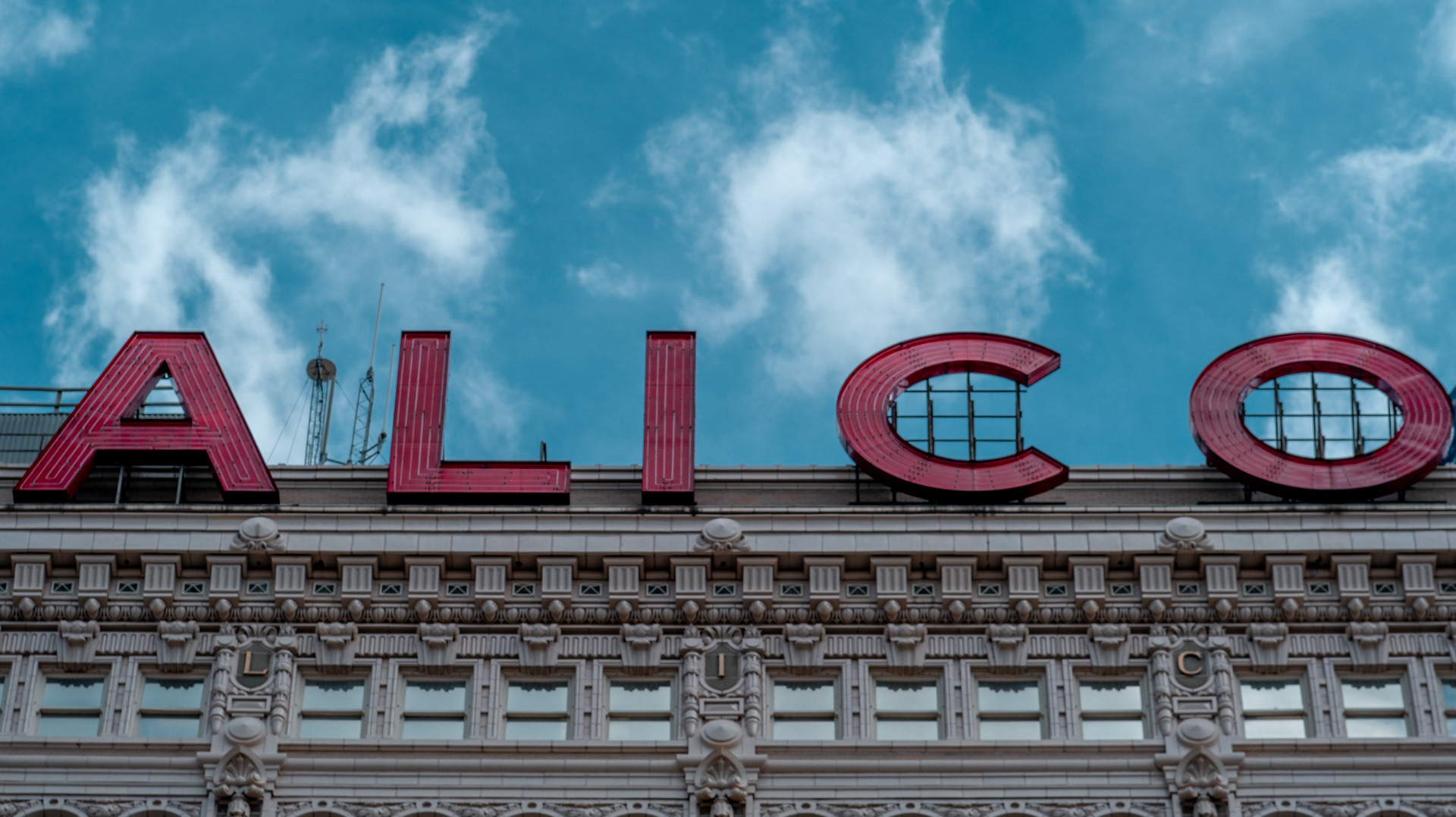 85 MM | 1/1600 sec | f/4.5 | ISO 160