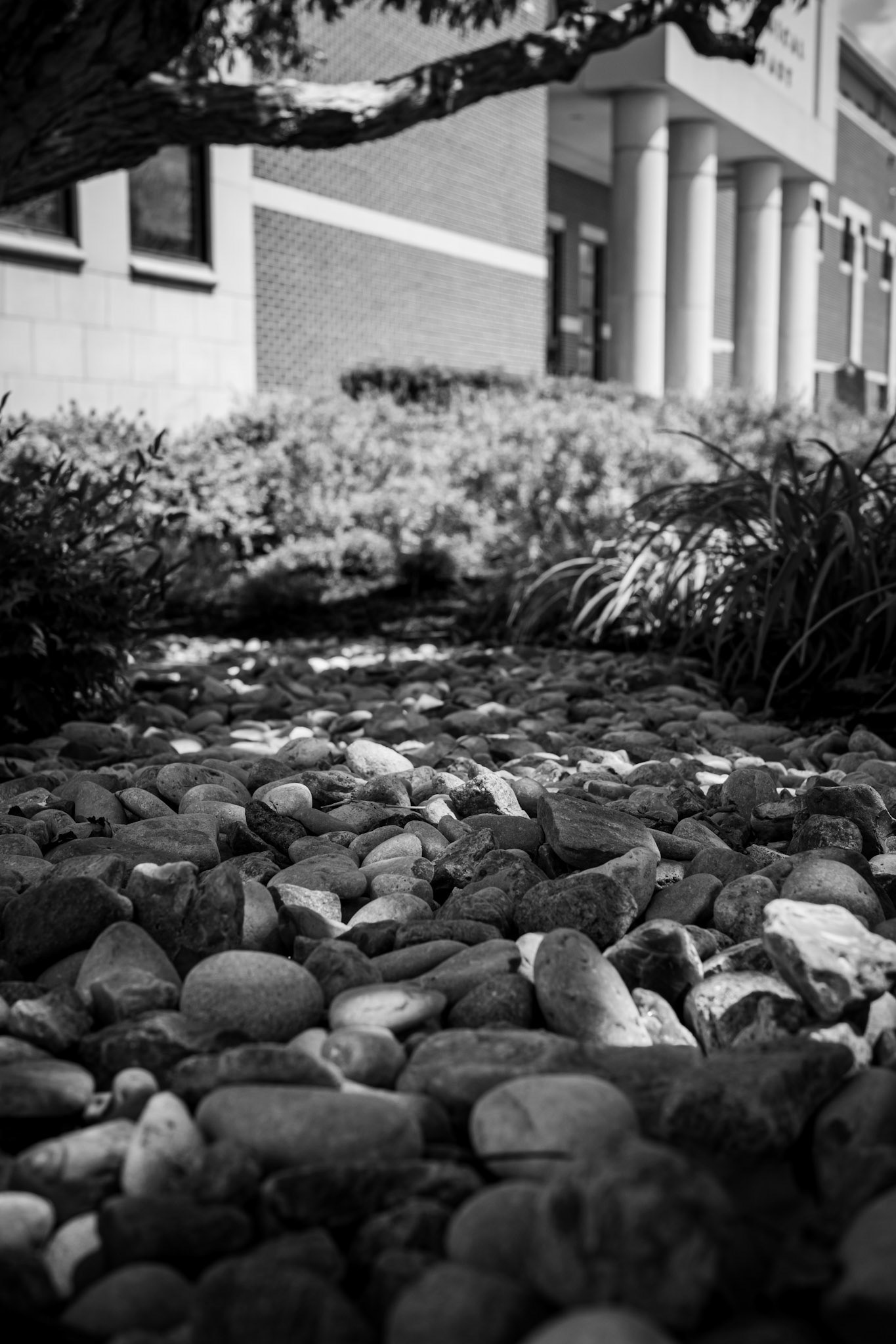 Ricoh GR IIIx | 26 MM | 1/400 sec | f/5 | ISO 500