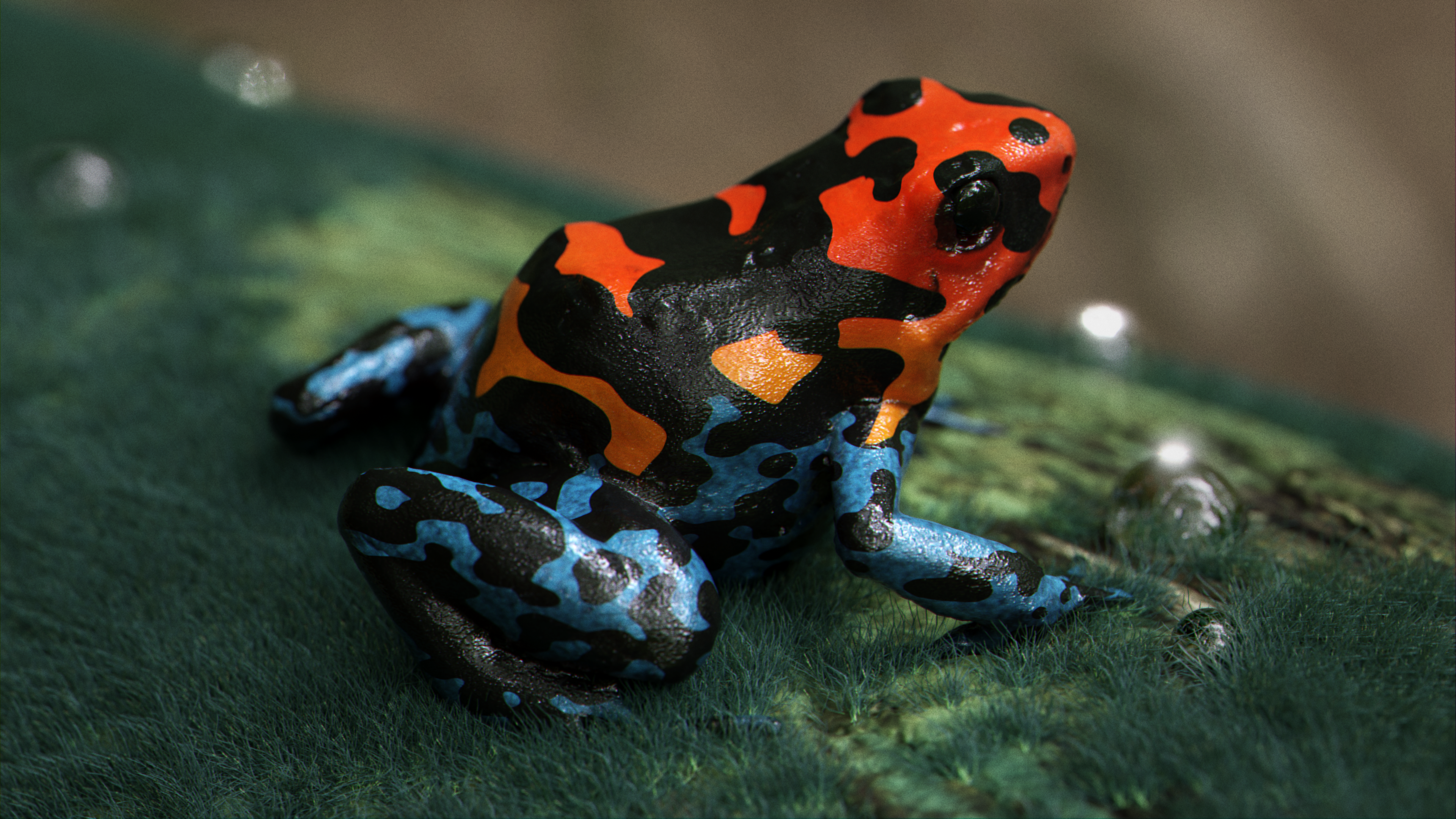 Color - This Tiny Frog