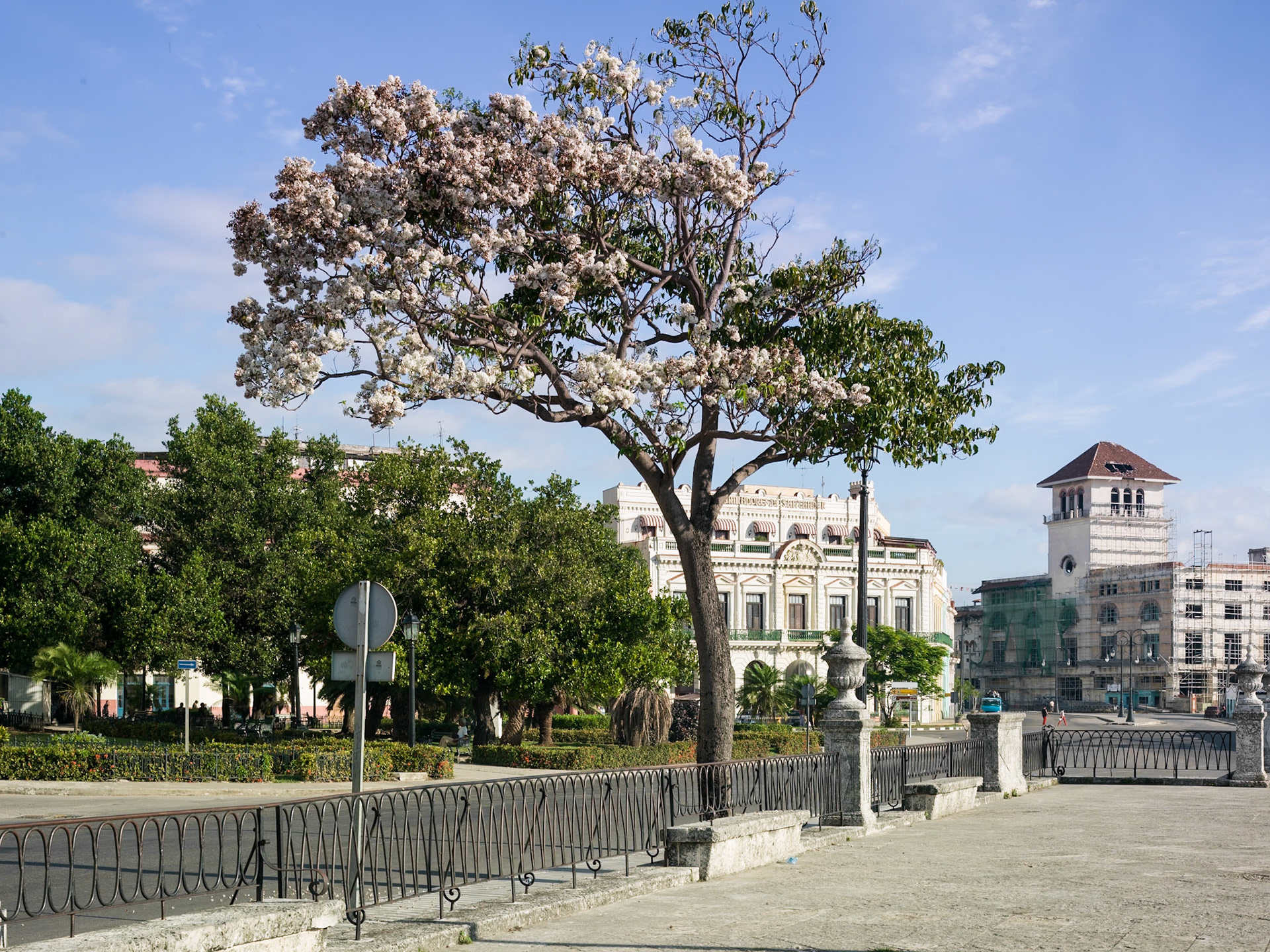 2014. Havana Vieja