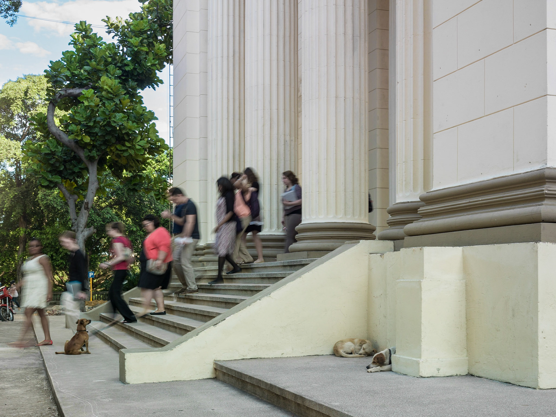 2014 Universidad de Habana