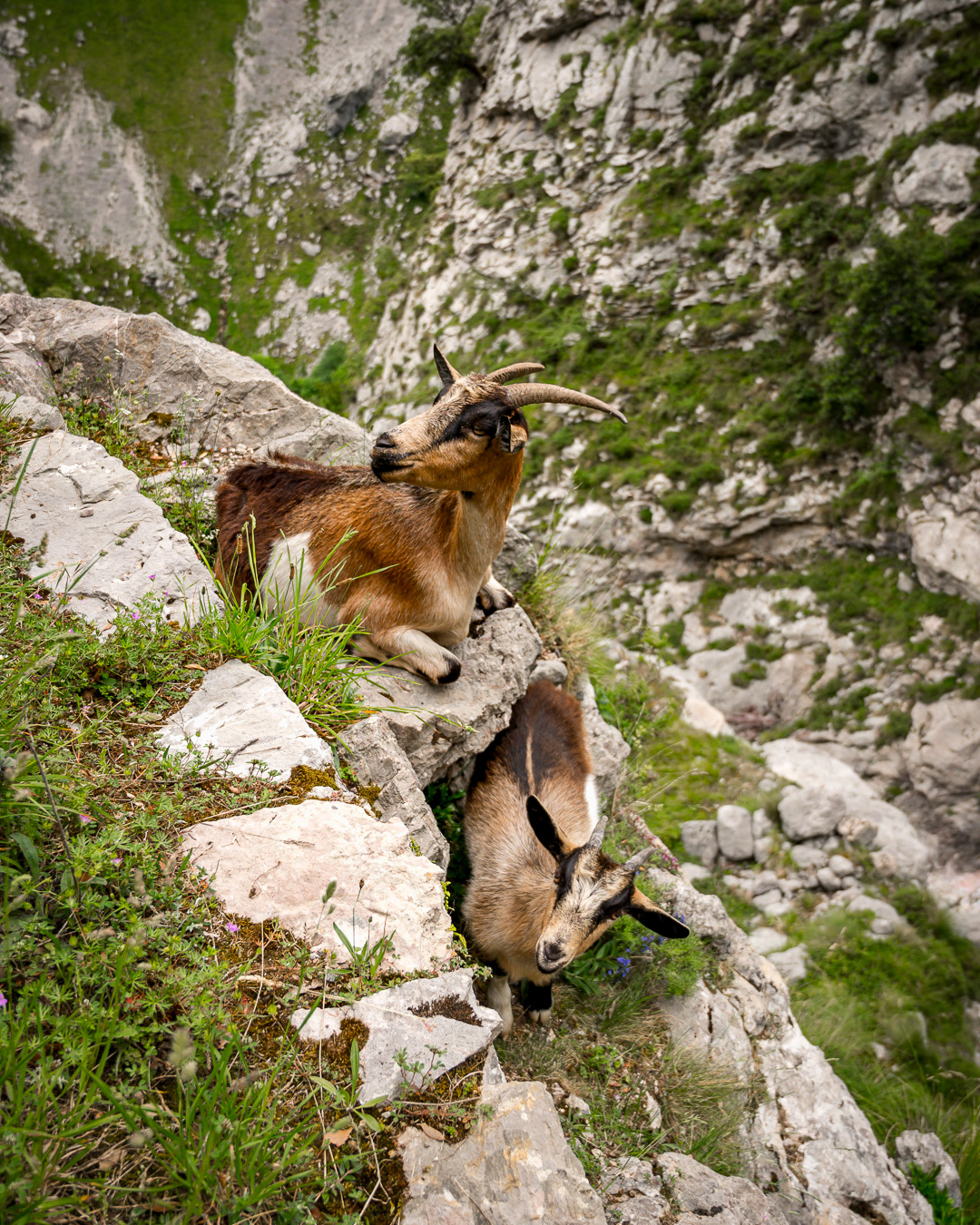 Pico's de Europa - Jeroen Berends Fotografie