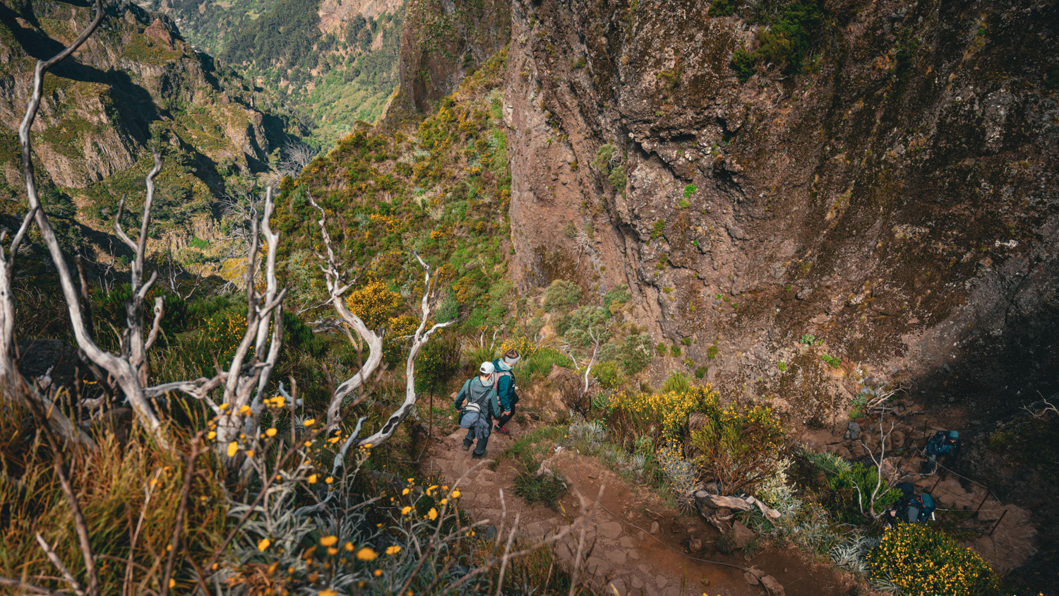 Hiking Madeira - Gearlimits.com - Jeroen Berends Fotografie