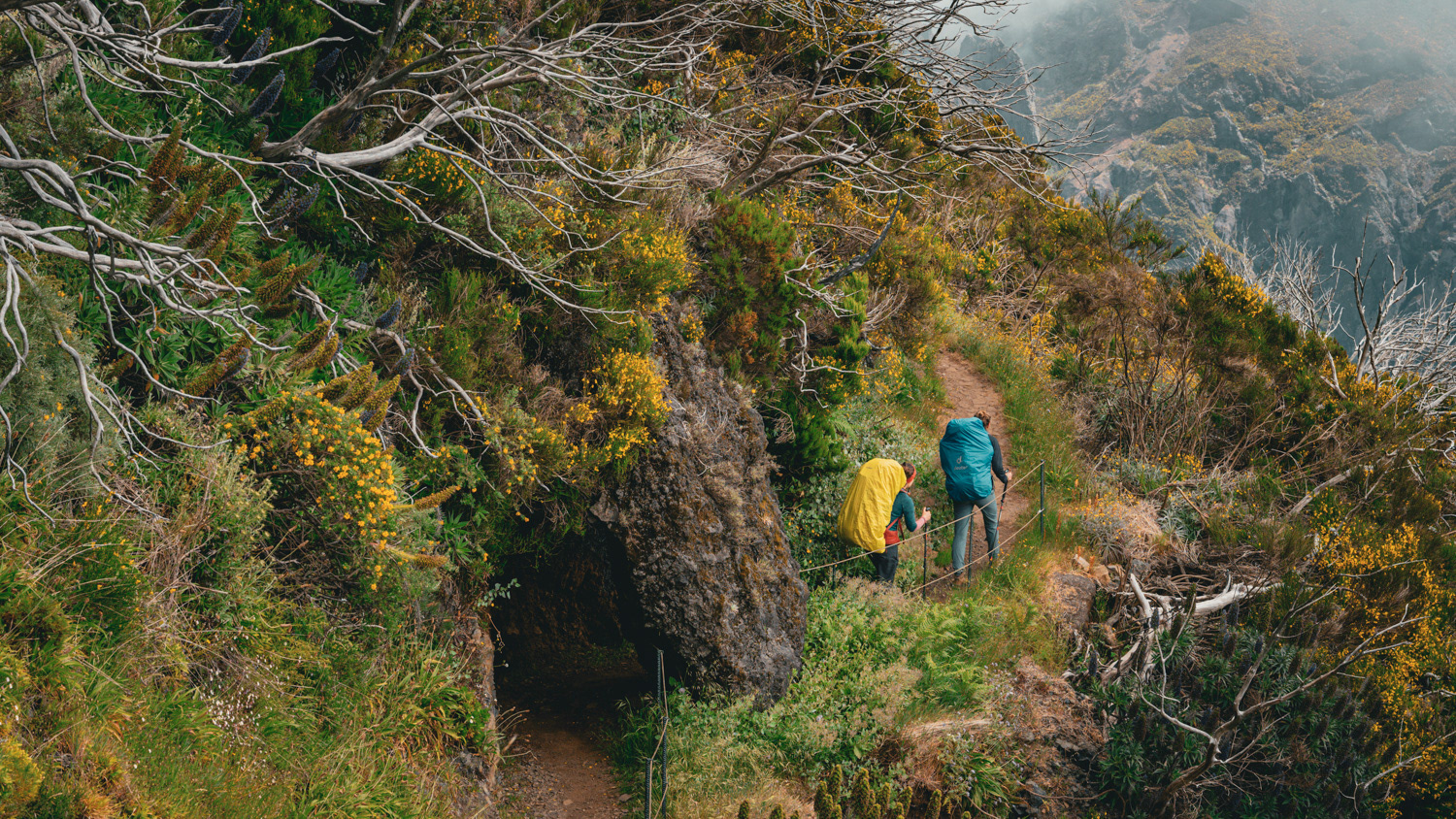 Hiking Madeira - Gearlimits.com - Jeroen Berends Fotografie