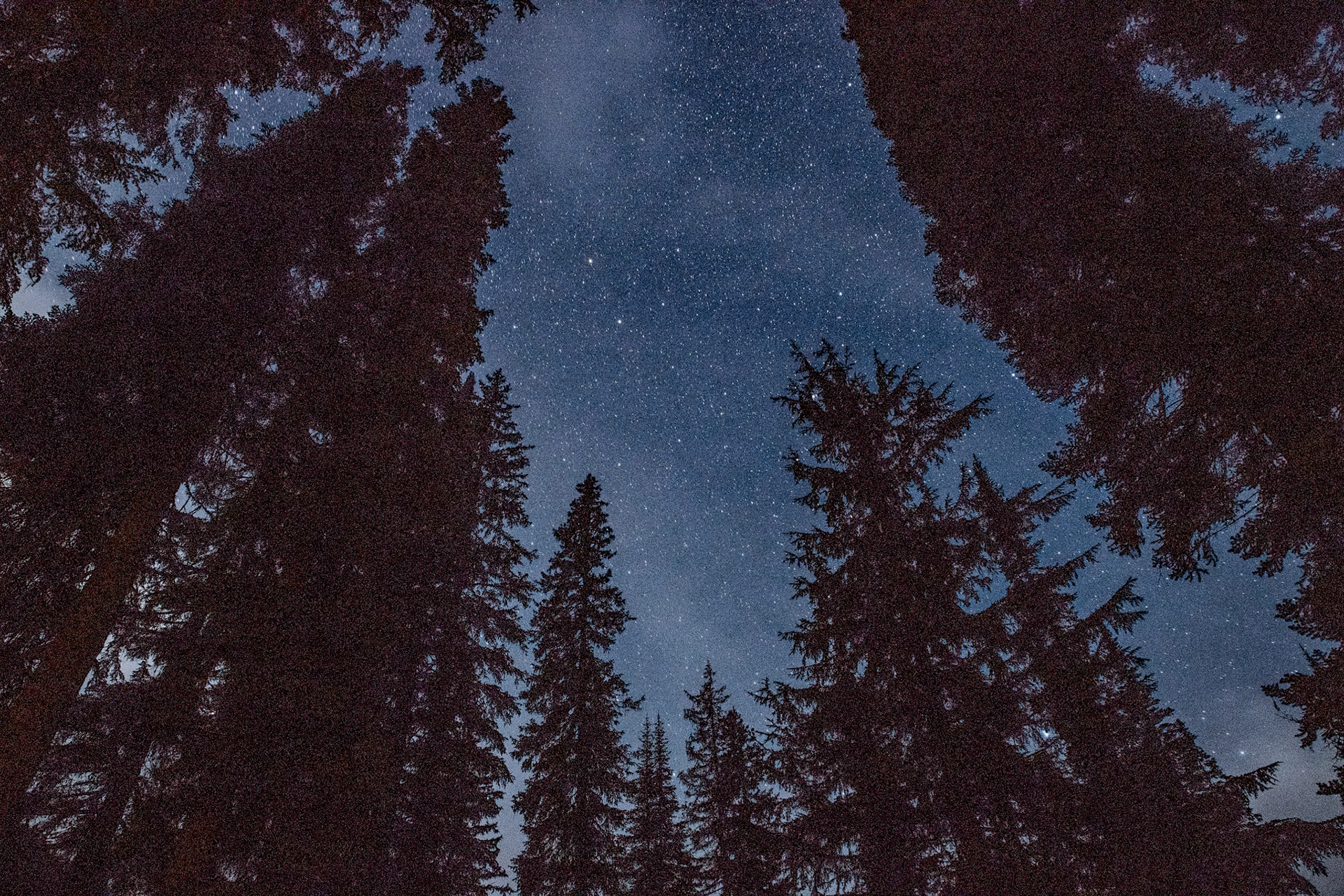 Reisfotografie - Canada - Jeroen Berends Fotografie