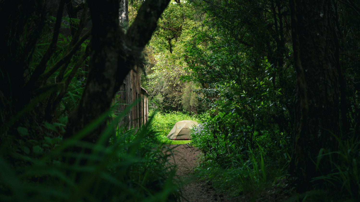 Hiking Madeira - Gearlimits.com - Jeroen Berends Fotografie