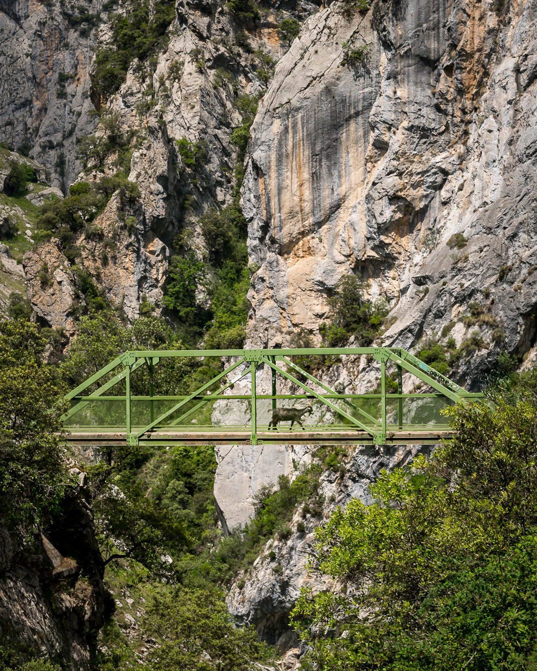 Pico's de Europa - Jeroen Berends Fotografie