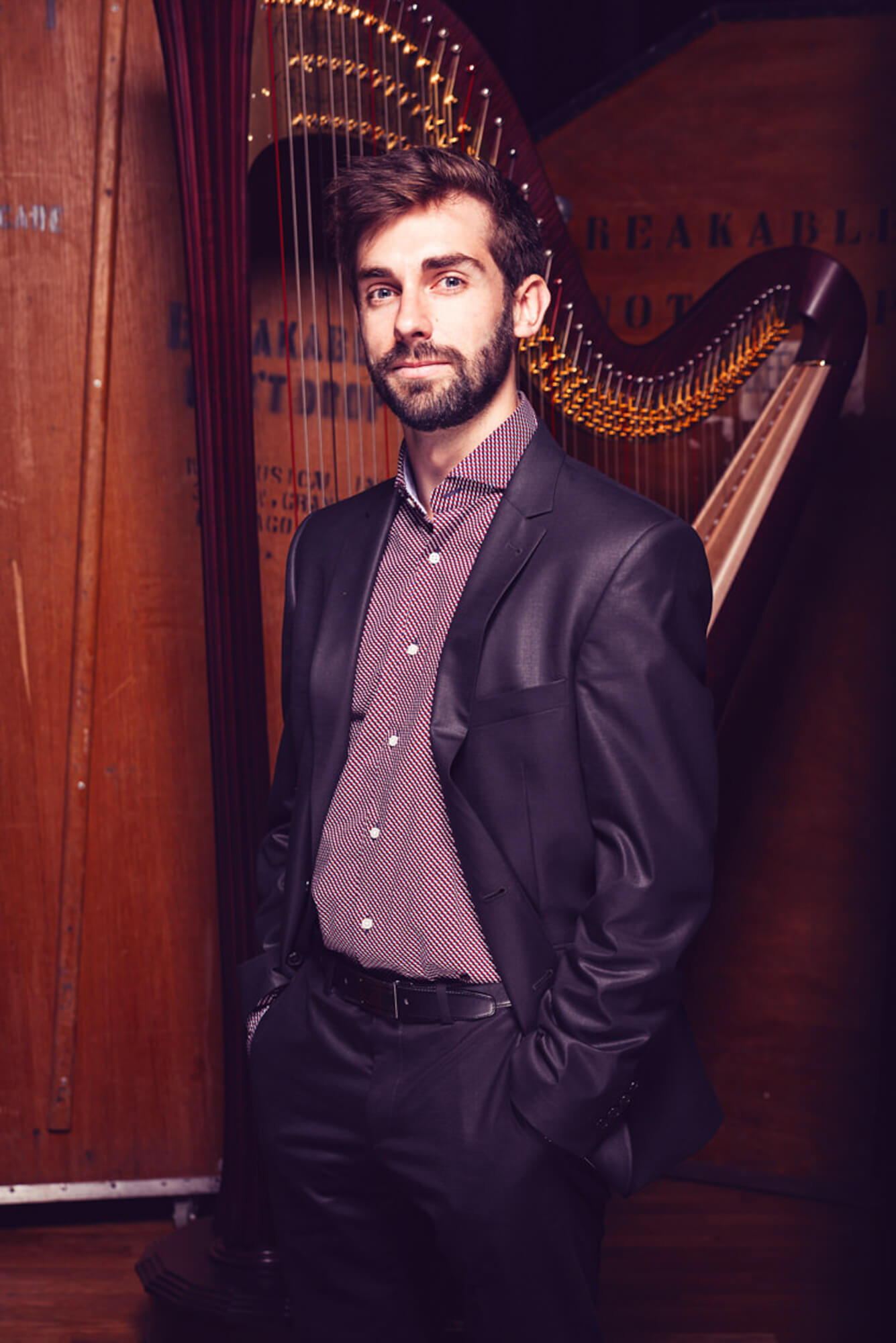 Portret voor Dutch Harp Fesitval - Jeroen Berends Fotografie