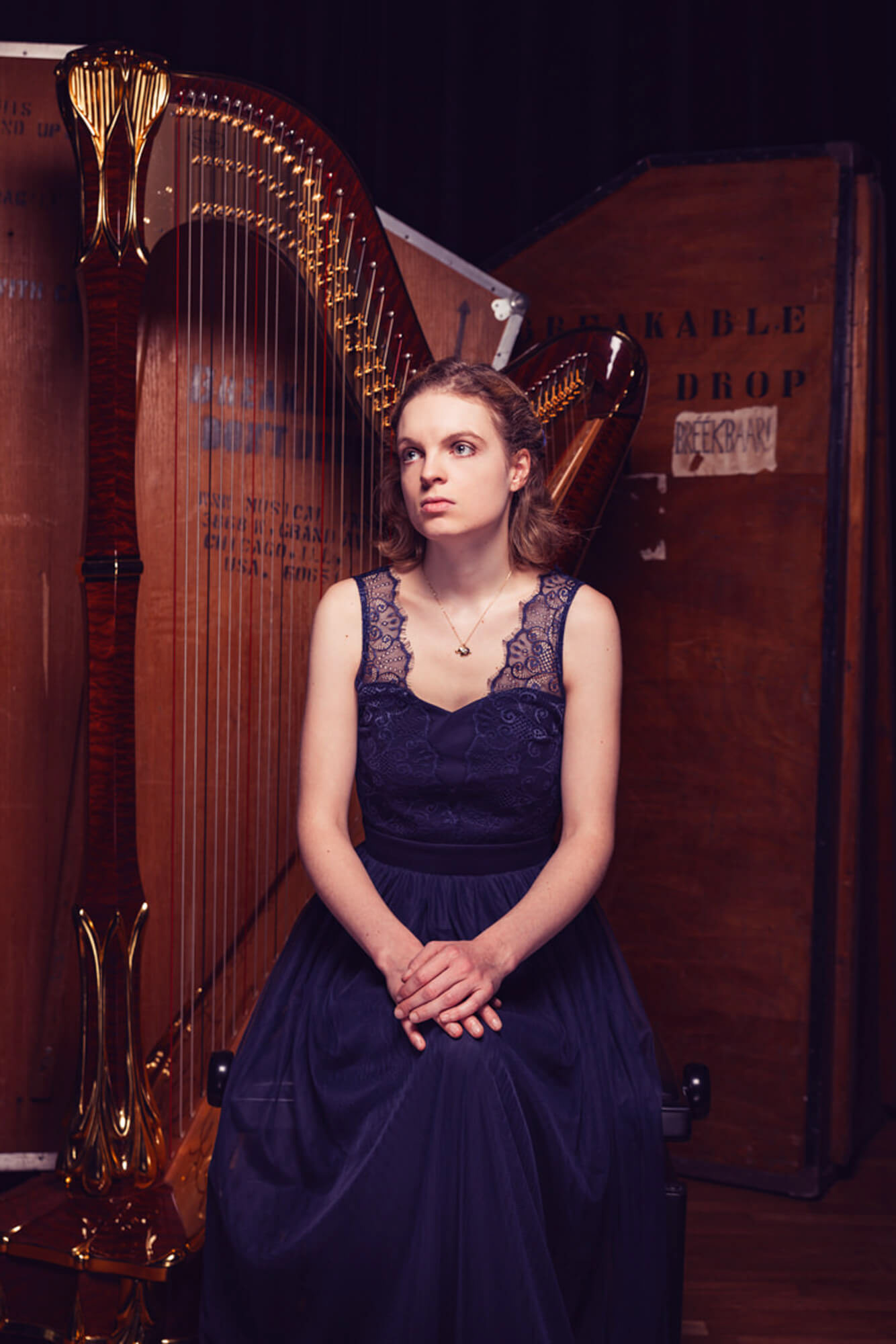 Portret voor Dutch Harp Fesitval - Jeroen Berends Fotografie