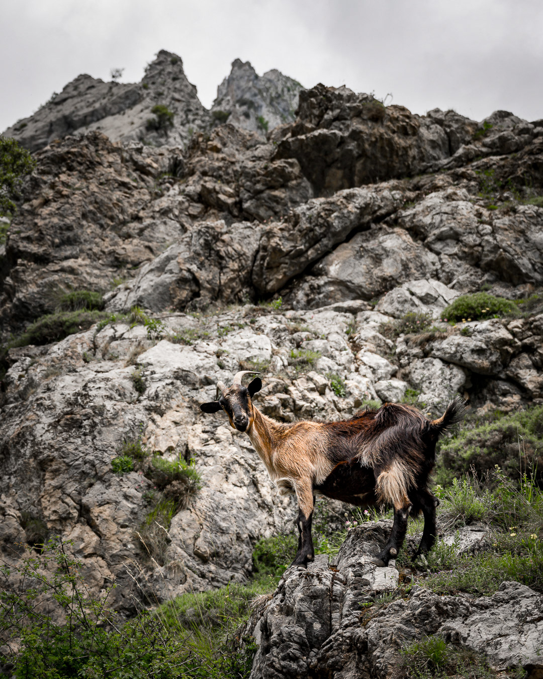 Pico's de Europa - Jeroen Berends Fotografie