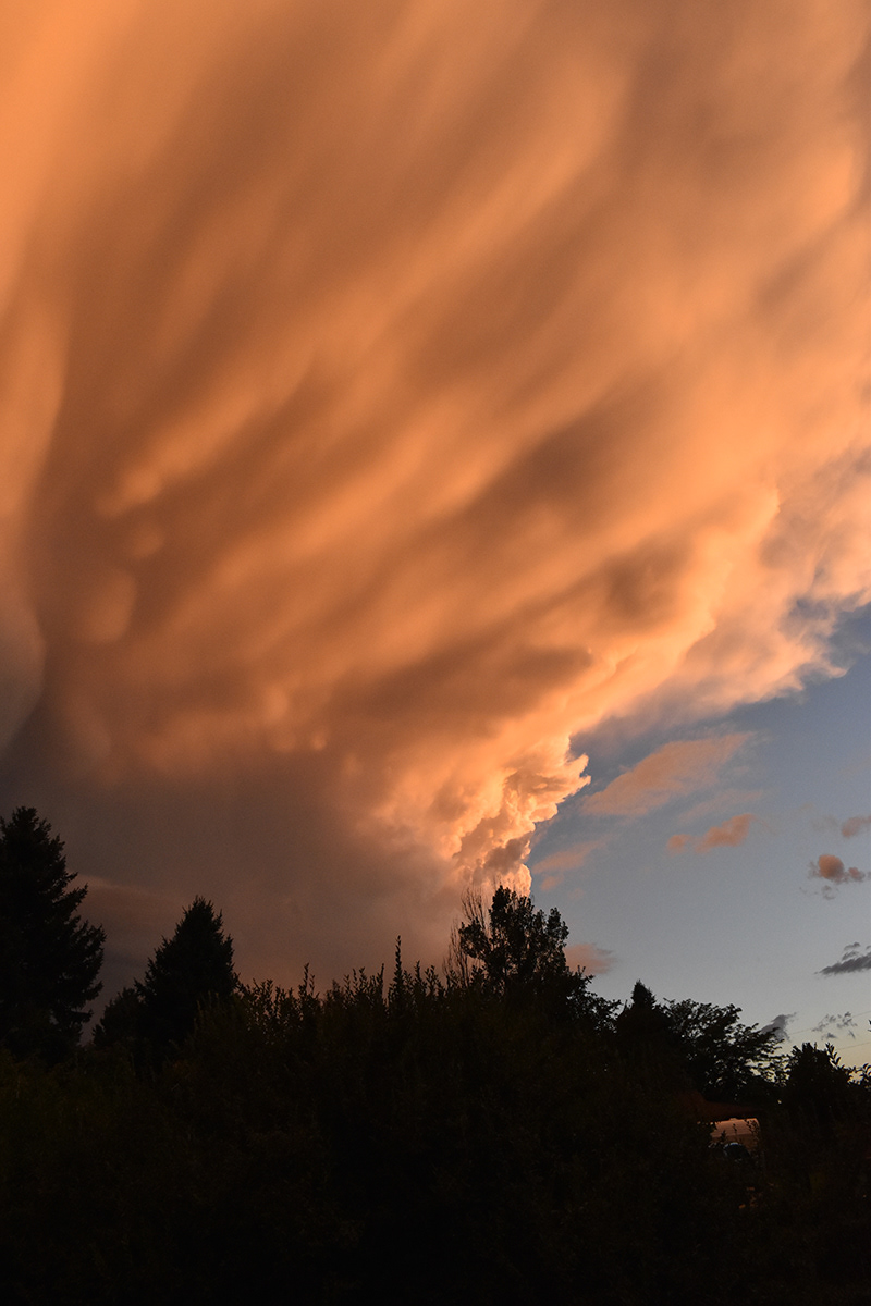 Wild August Evening