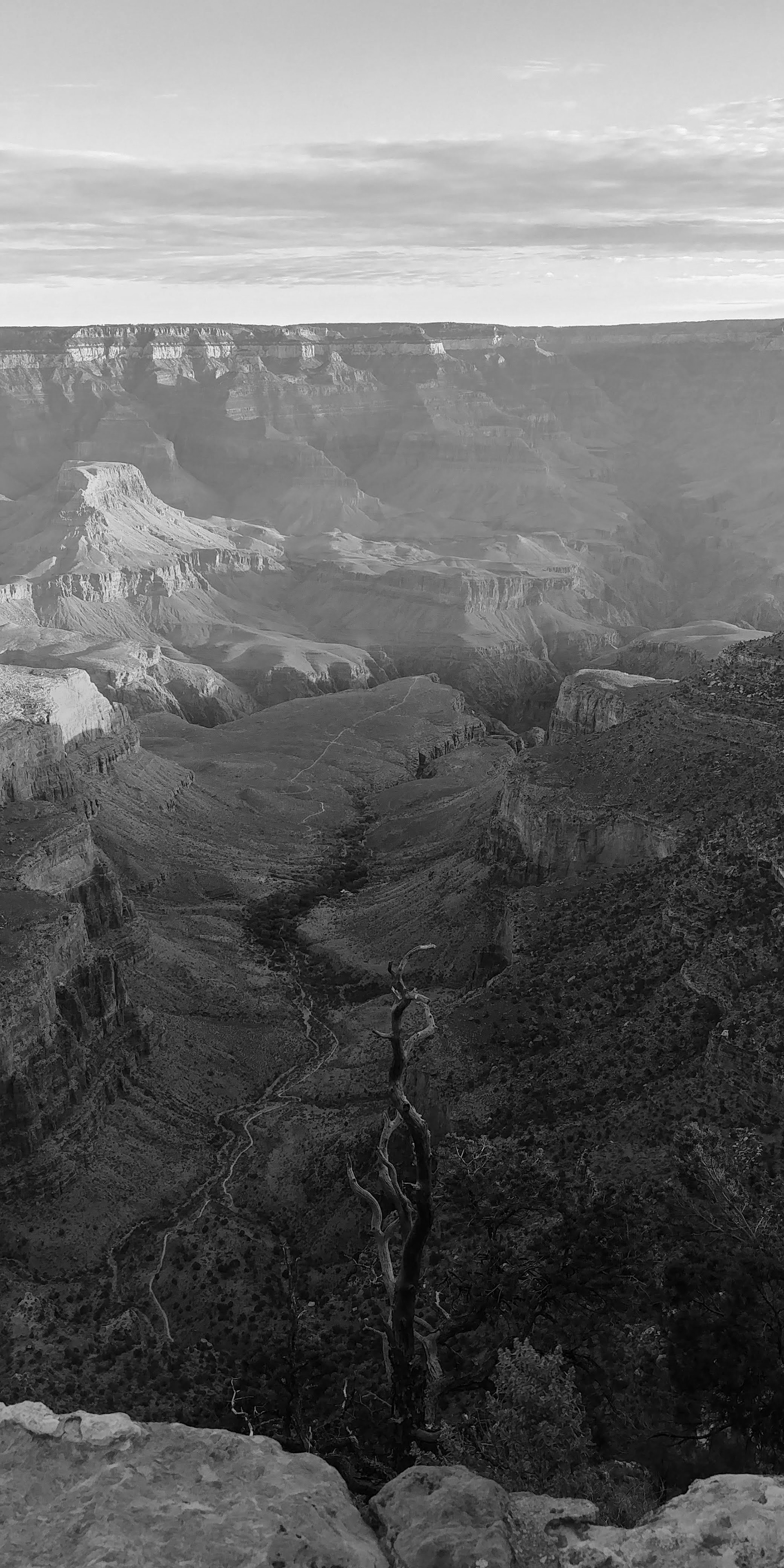 The Light at the End