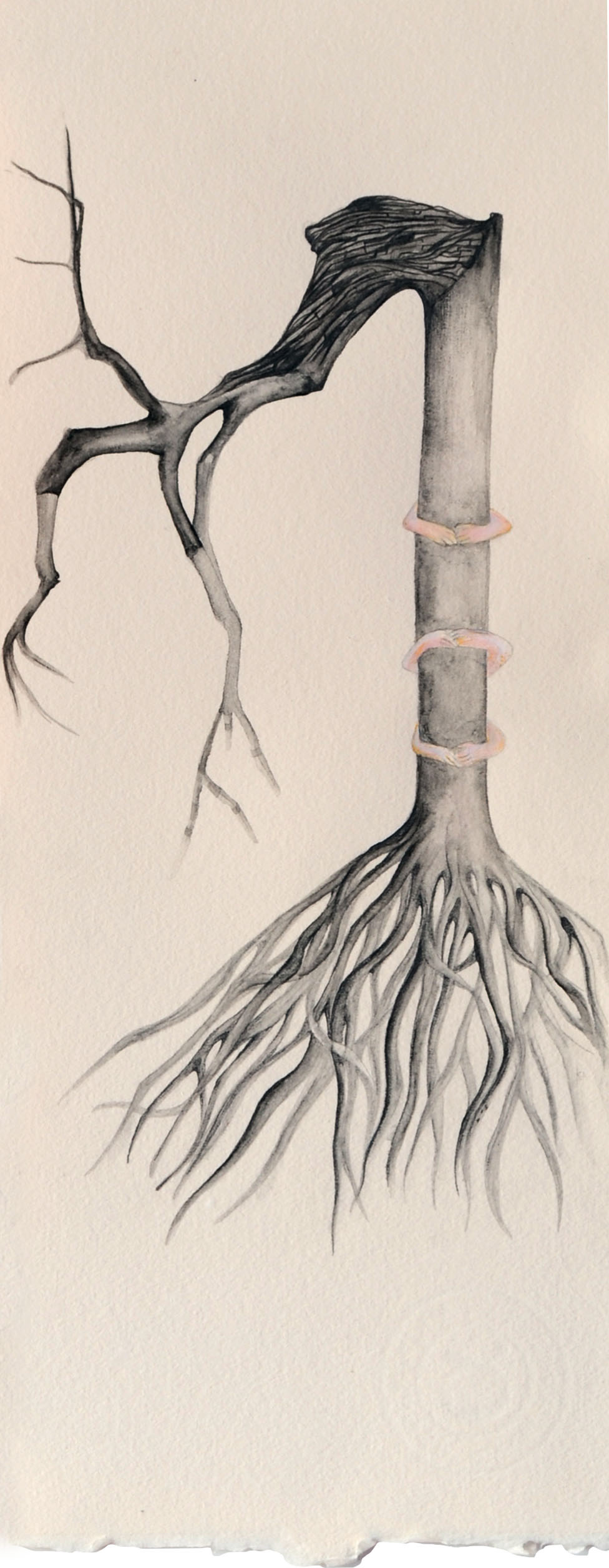 "Guiltess" Graphite on paper 30x42cm
