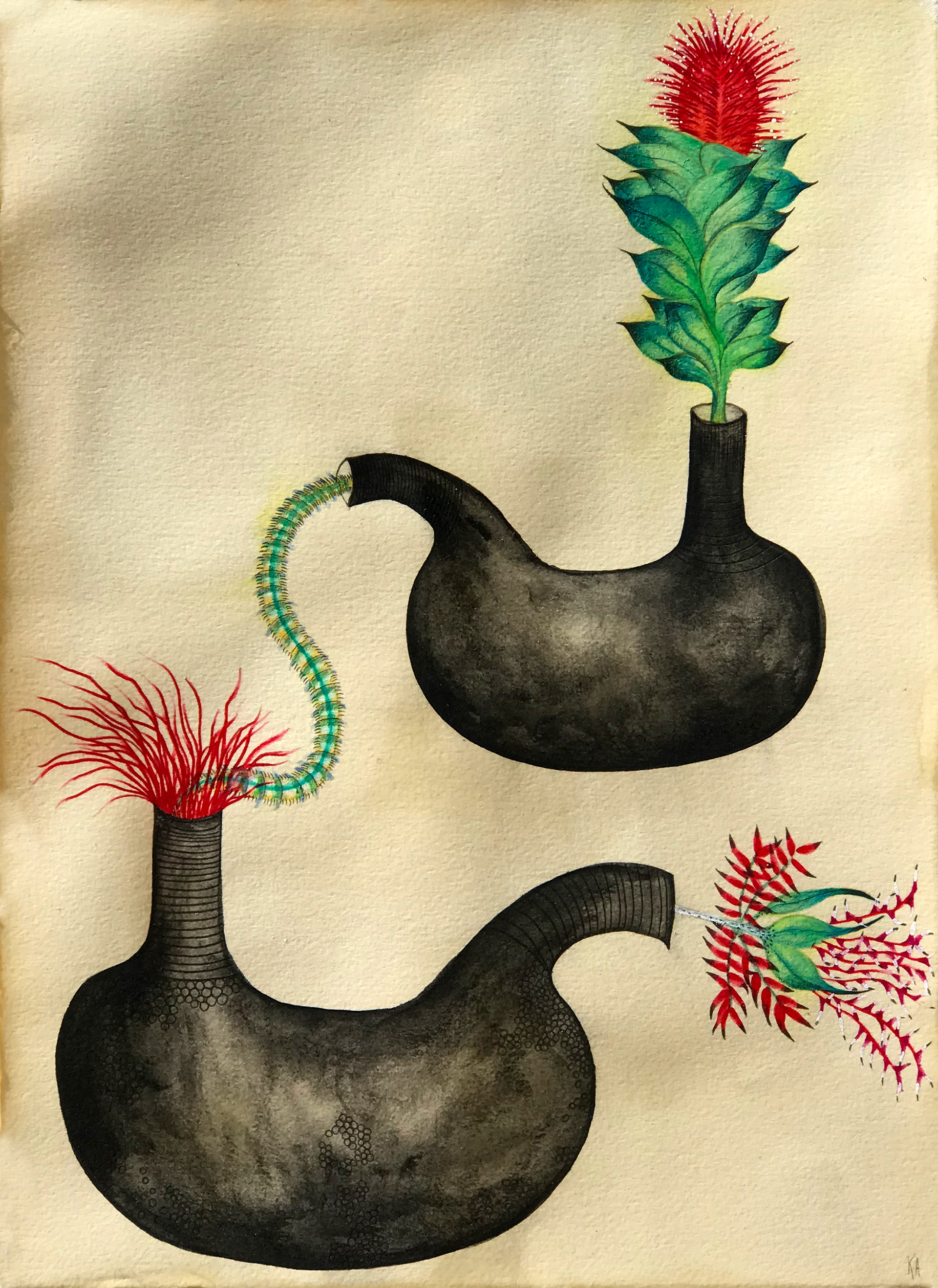 "Estomago floral" Graphite on paper 28x38cm