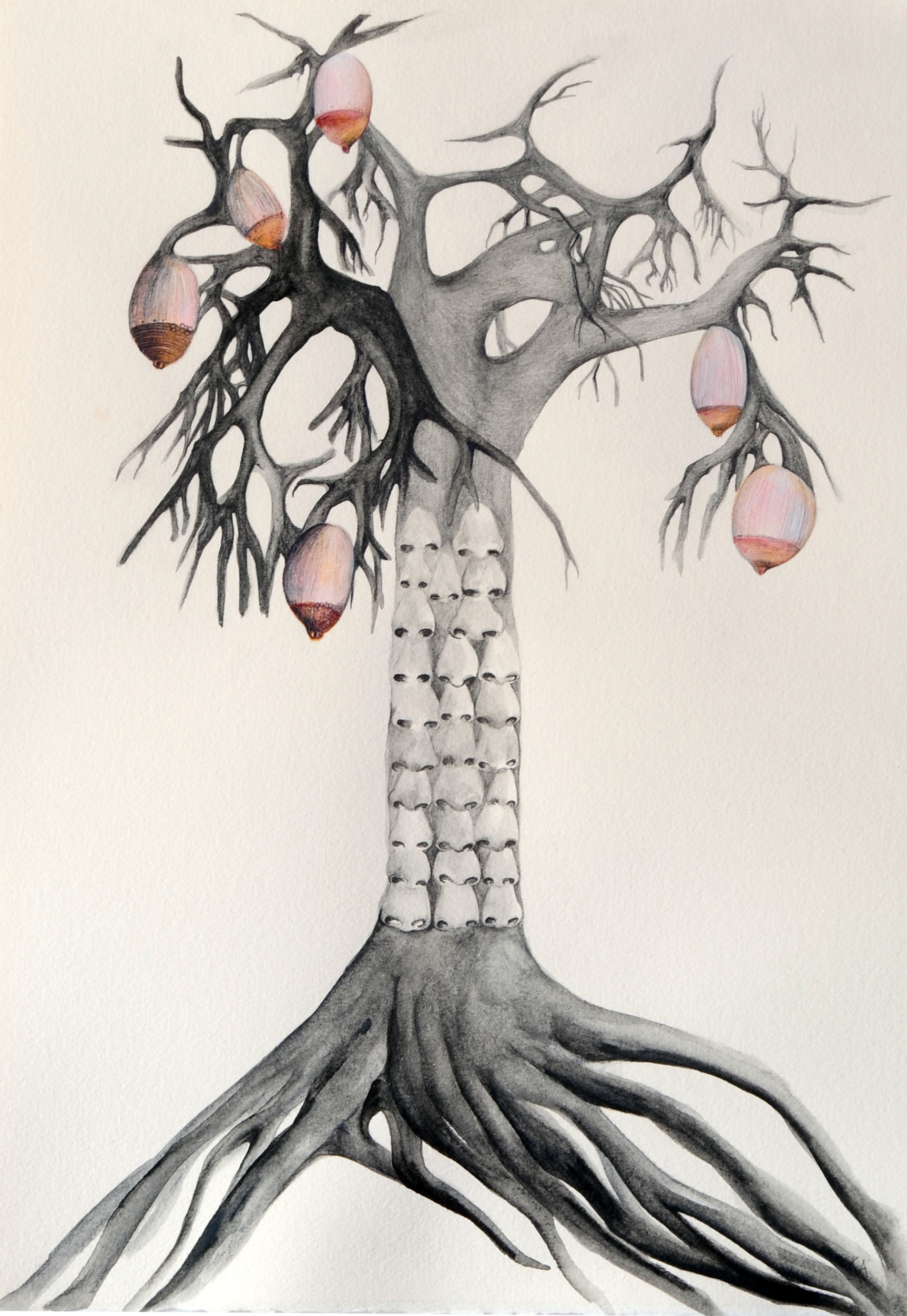 "The scent of freshly cut" Graphite on paper 30x42cm