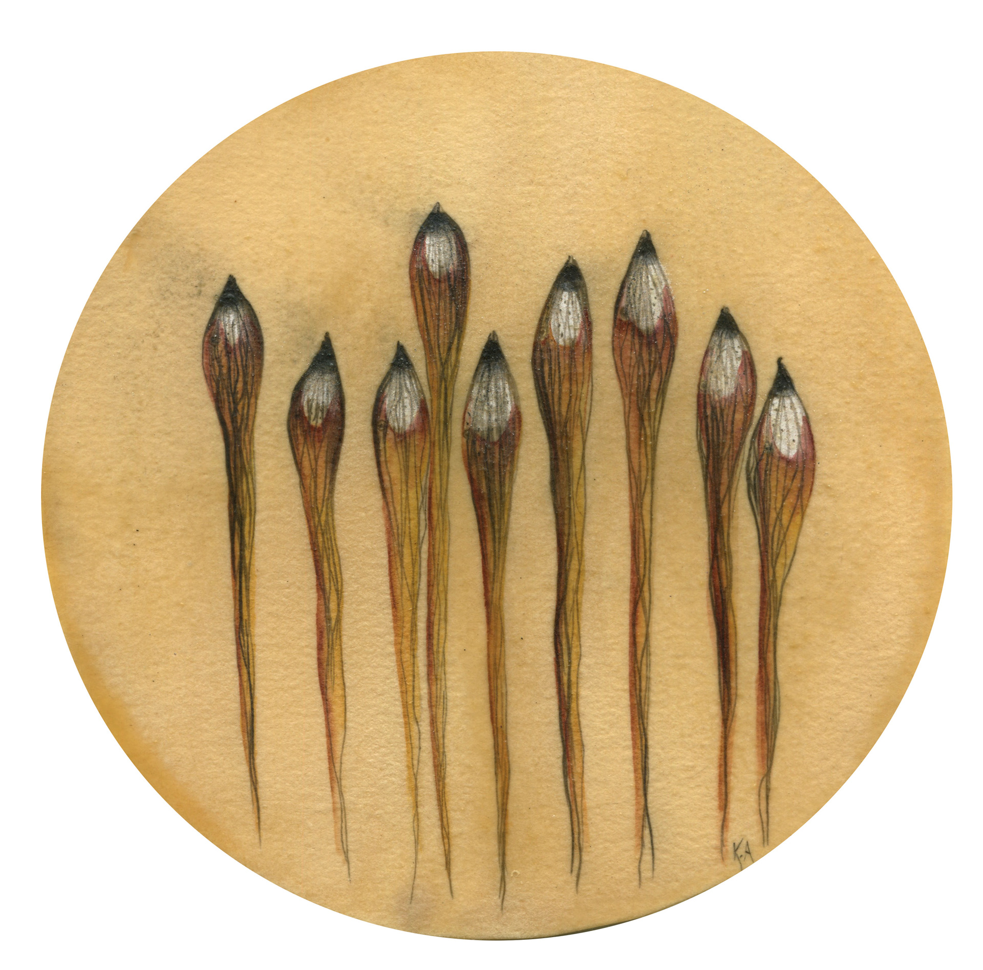"Where the wildness turns inward" 15 cm in diameter