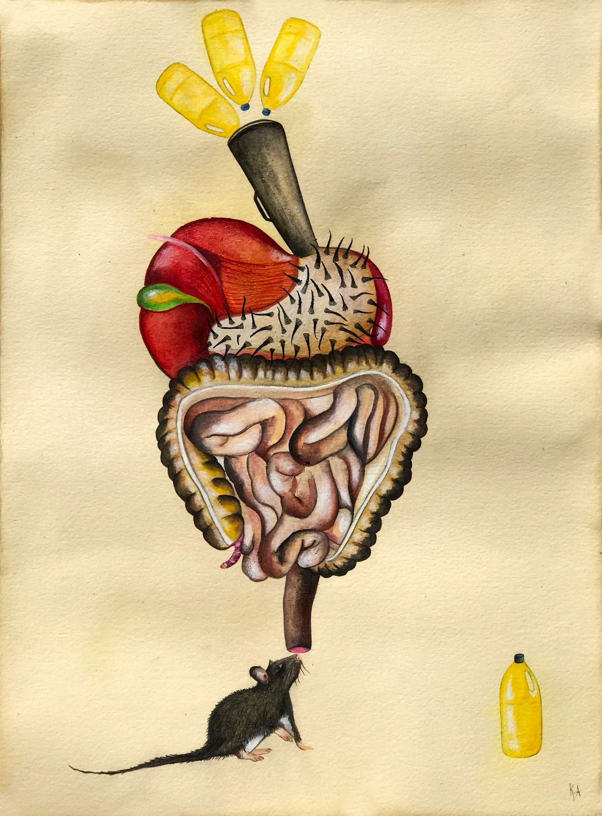 "Limpio" Graphite on paper 28x38cm