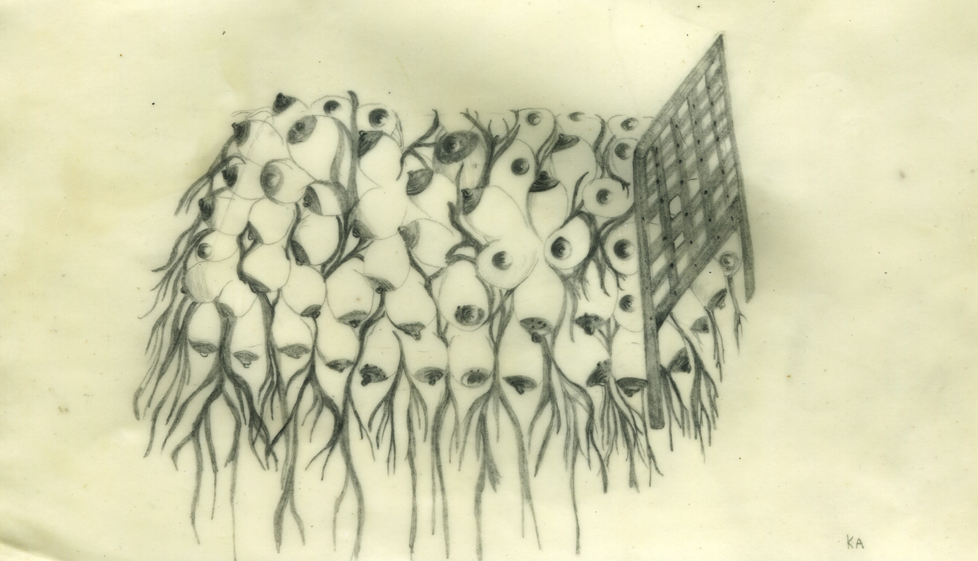 "Captivate" Graphite on paper 15x12cm