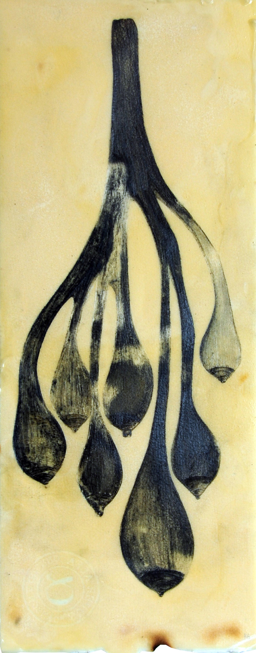 "Origin" Graphite on paper 30x42cm