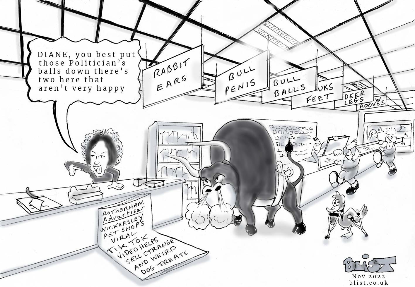 Bull in a Pet Shop
