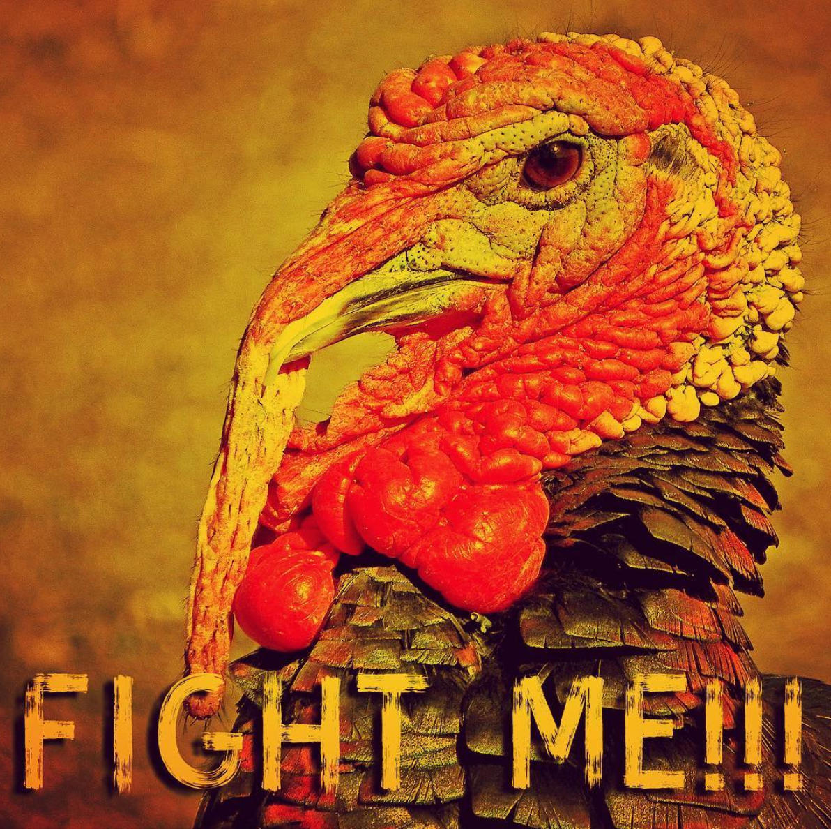 Thanksgiving graphic