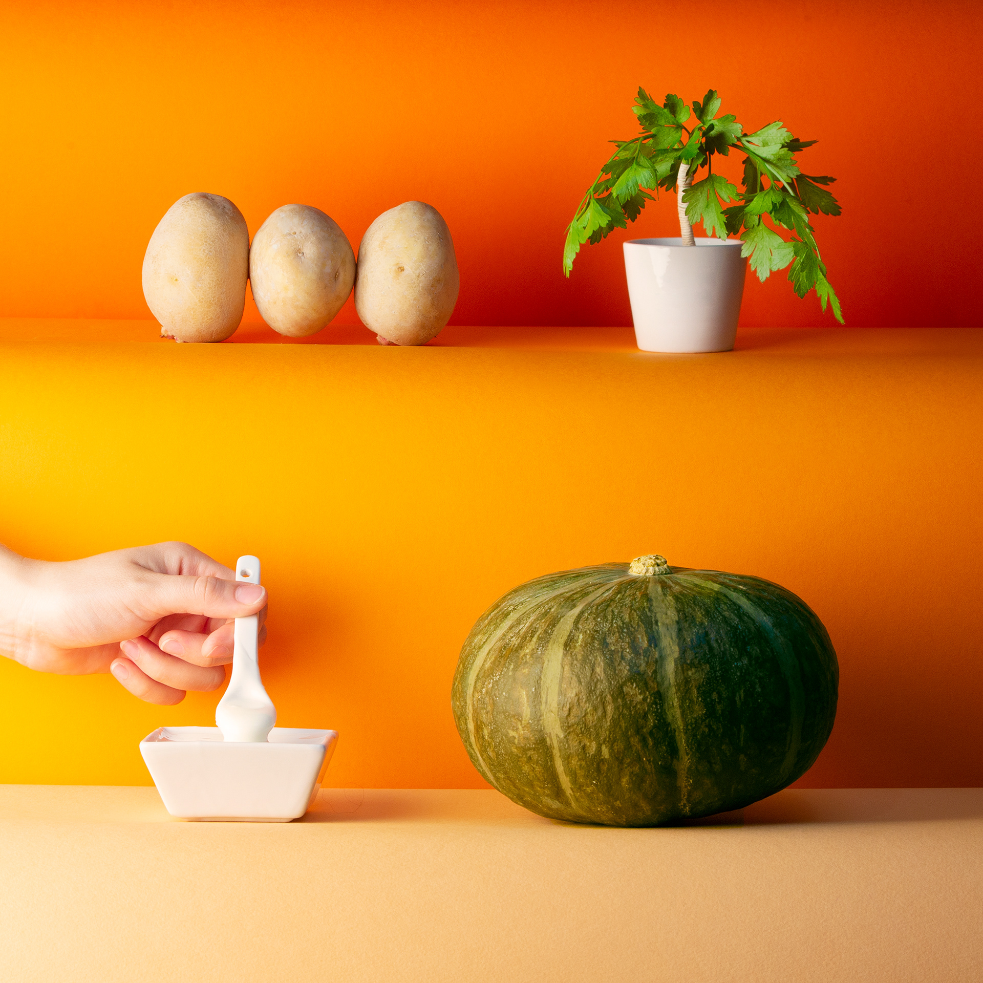 Pumpkin Soup