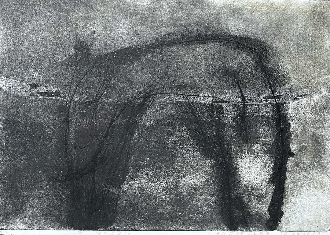 Agnieszka Dobosz, "W Wodzie", 1/2, Materiał Print, 1995, 70 x 100 cm
