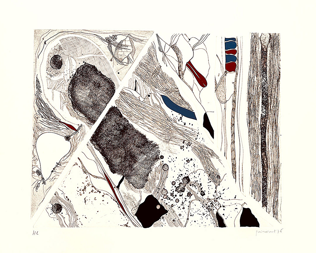 JOSEP GUINOVART I BERTRAN, “Sons”, 1976, 70 x 85 cm, Technique: Etching, Copies : 50
