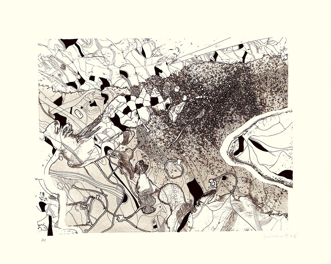 JOSEP GUINOVART I BERTRAN, “Moviment”, 1976, 70 x 85 cm, Technique: Etching, Copies : 50