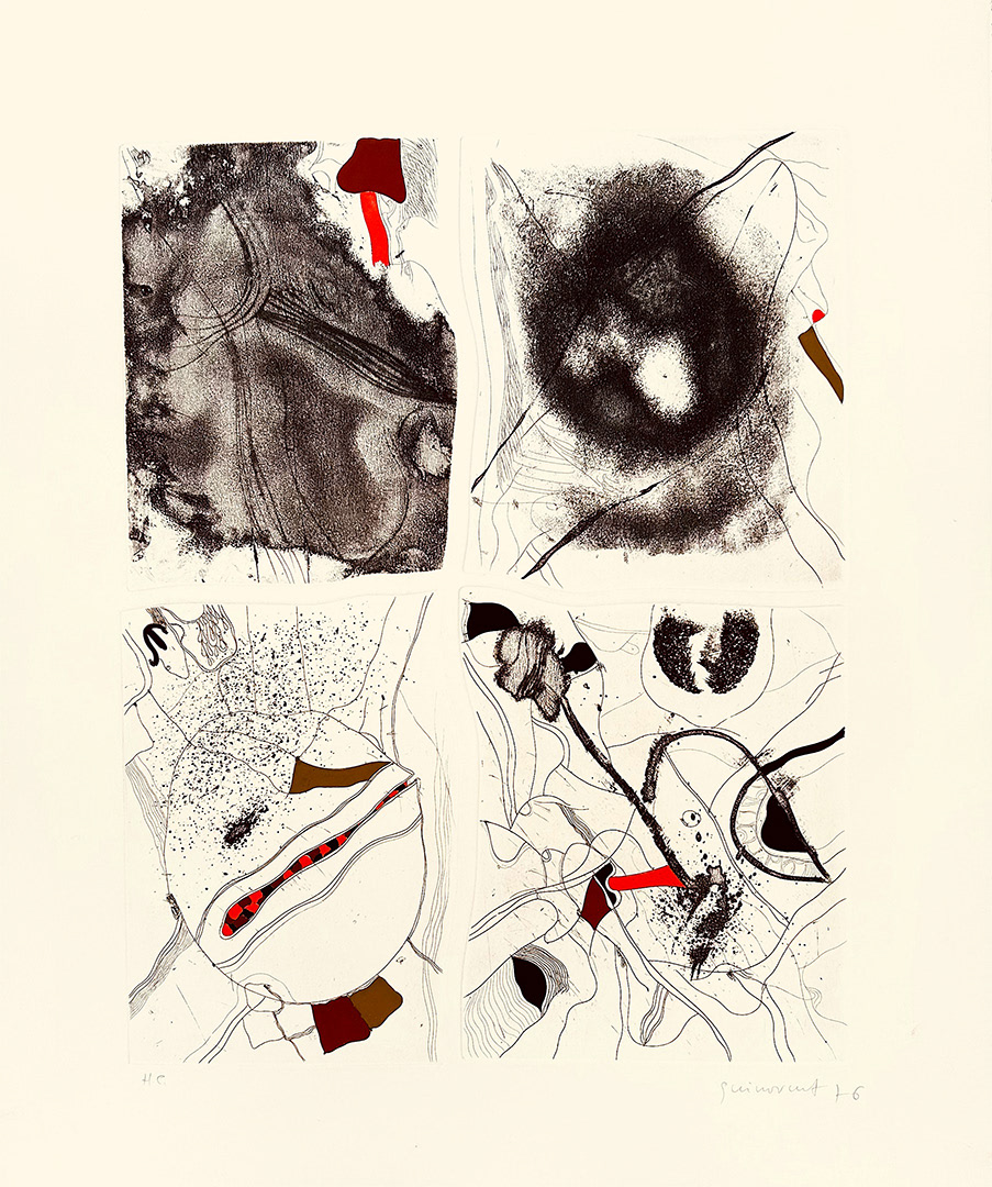 JOSEP GUINOVART I BERTRAN, “SENSE TÍTOL”, 1976, 85 x 70 cm, Technique: Etching, Copies : 50