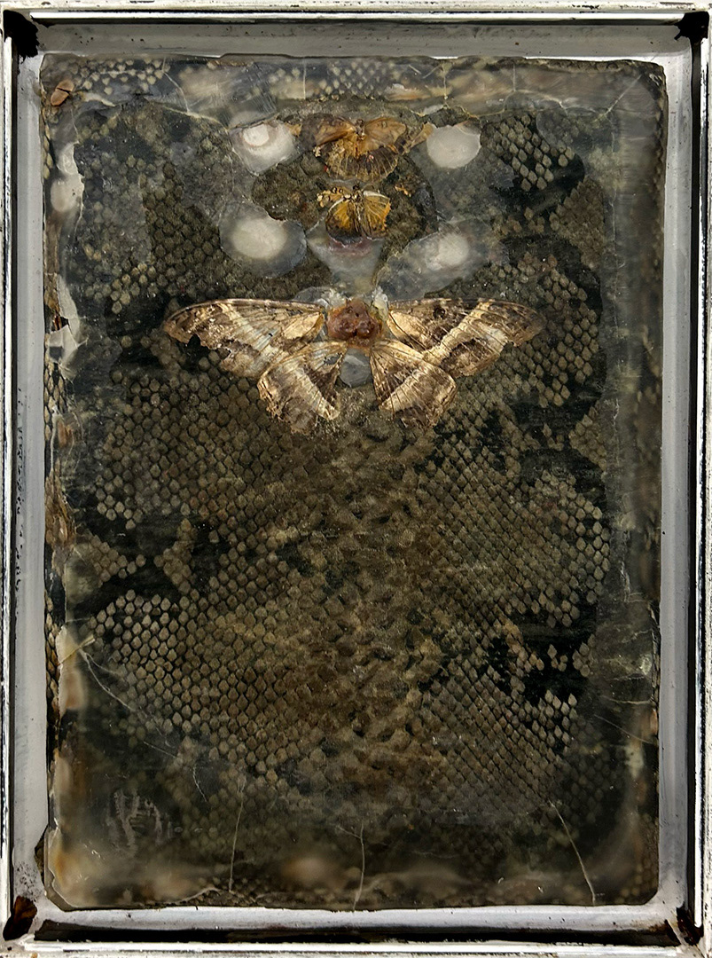 Ulrich Gehret, « Flatter By-by », Mixed Media on Wood with Paraffine, 2008, Dimensions : 45 x 34 cm