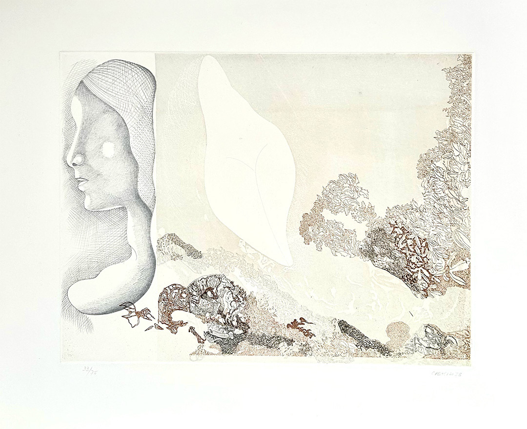 Jorge Castillo, "Rey de los pajaros 3", 1978, Etching 33/75, 56 x 75 cm