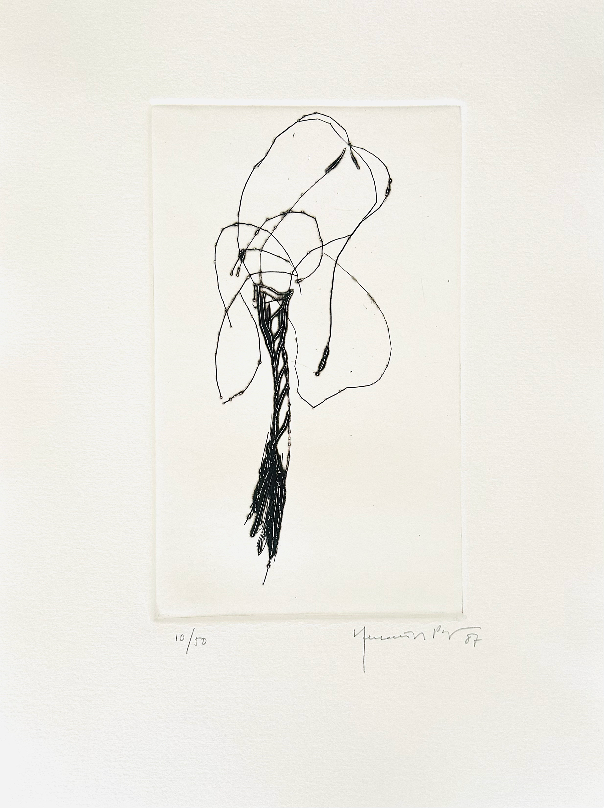 "Lliri", 1987, etching, 10/50, 38 x 28 cm