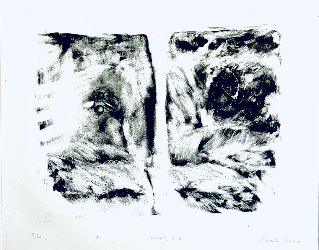 Włodzimierz KUNZ, “Motyl", Lithography 3/10, 50x70 cm