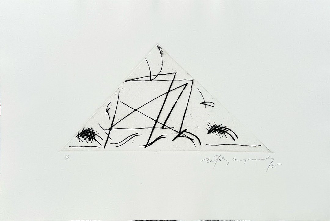 Albert Ràfols-Casamada, "Jardi 5", 1985, 38 x 56 cm, Technique: Dry Point etching
